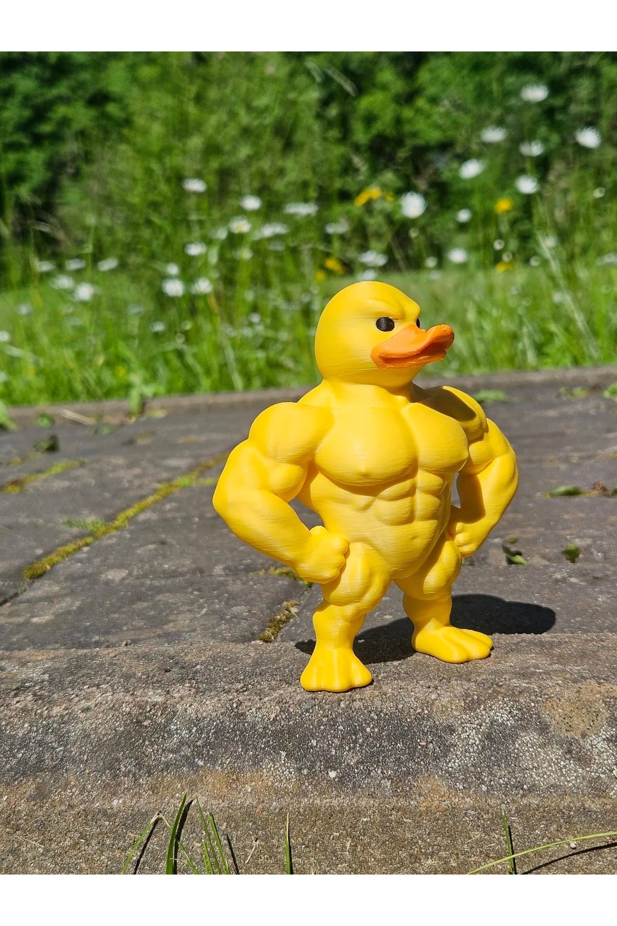 Nur3D ÖRDEK