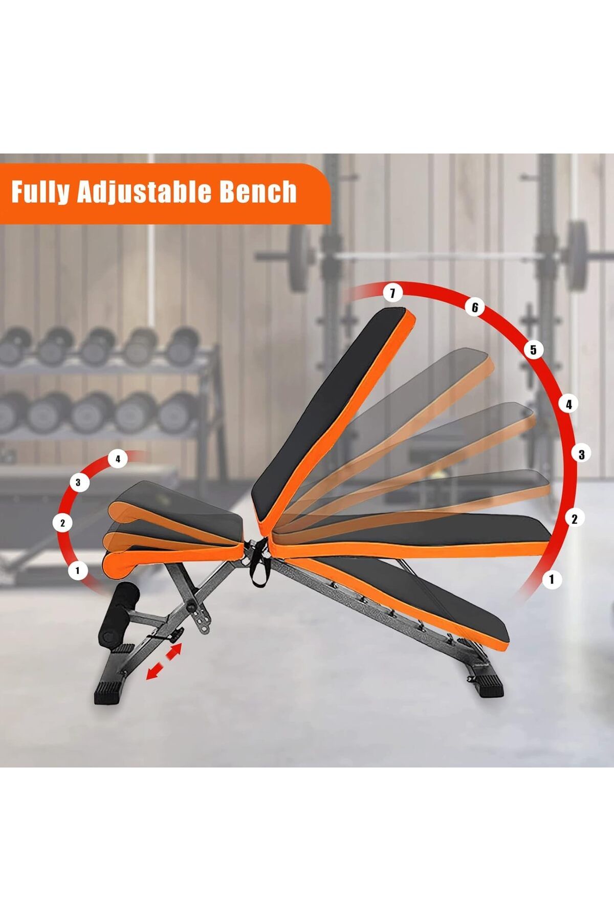 Skyland-SKY LAND Exercise Bench | Foldable & Multi-Function Adjustable Weight Bench for Home Gym | Ergonomic 5