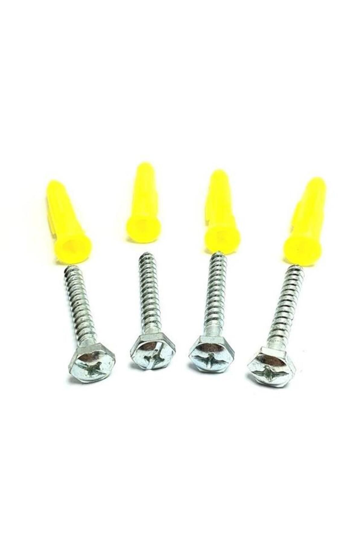 swilex Plastik Dübe + Vida (Yıldız + Ahtar Uç) (100 Adet)