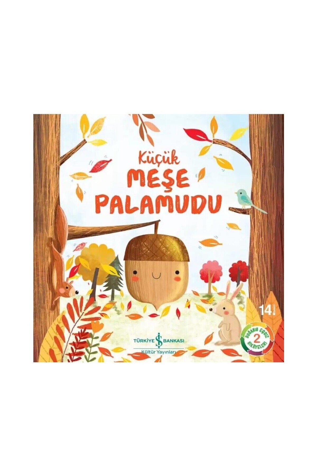 Türkiye İş Bankası Kültür Yayınları 11 Kitap Dev Set Doğanın Eşsiz Hikayeleri Öğrence Gezegeni Kes Yapıştır Kitabı fotoğrafı 6 (önizleme)