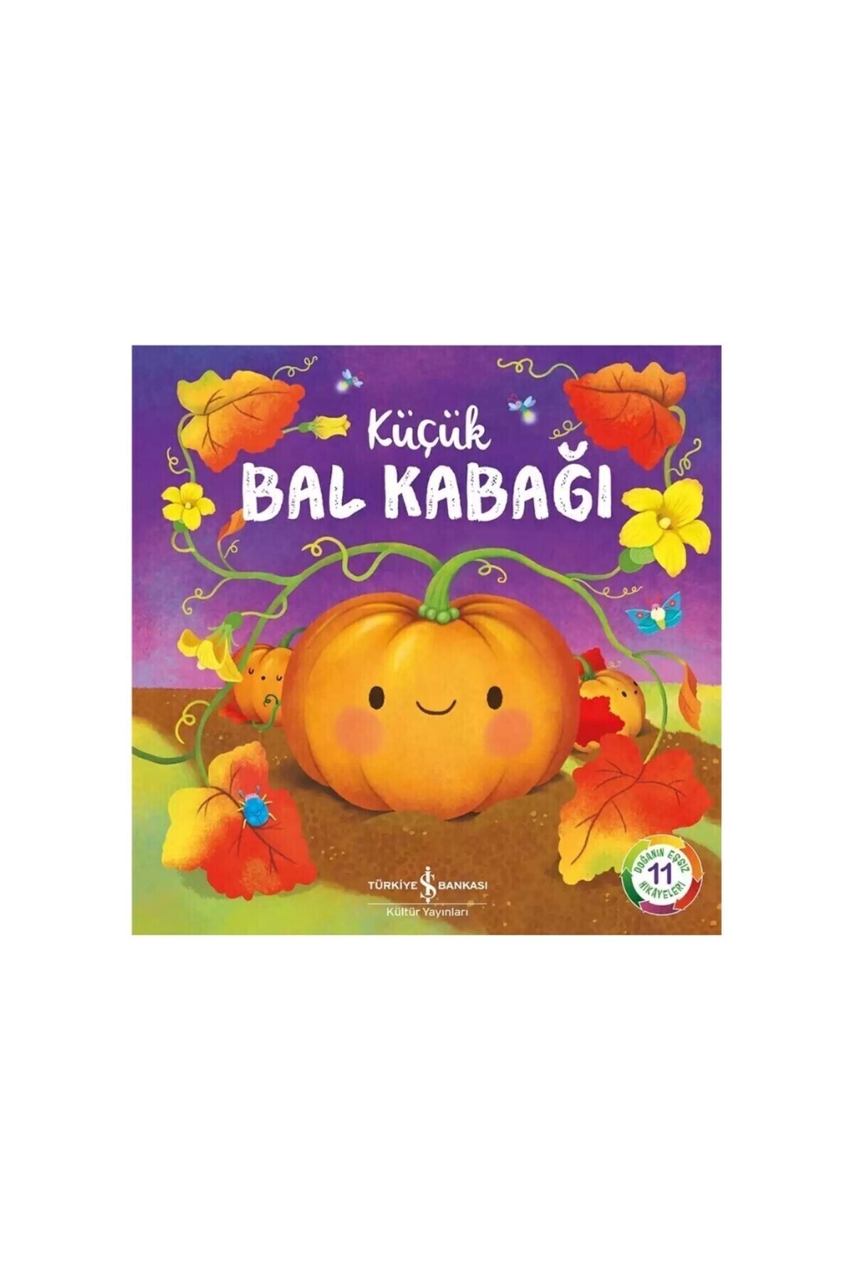 Türkiye İş Bankası Kültür Yayınları 11 Kitap Dev Set Doğanın Eşsiz Hikayeleri Öğrence Gezegeni Kes Yapıştır Kitabı fotoğrafı 3 (önizleme)