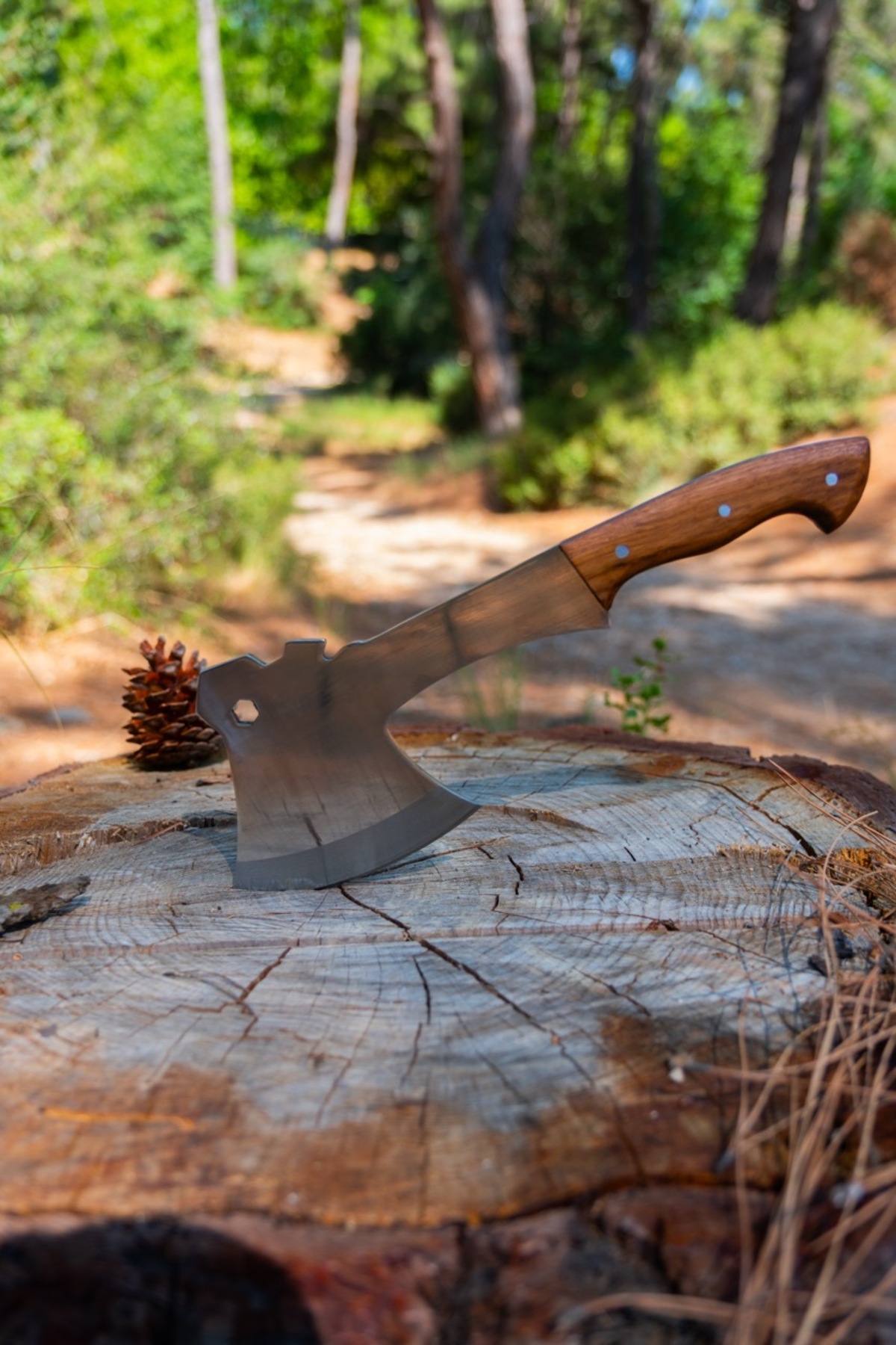 Camp Axe