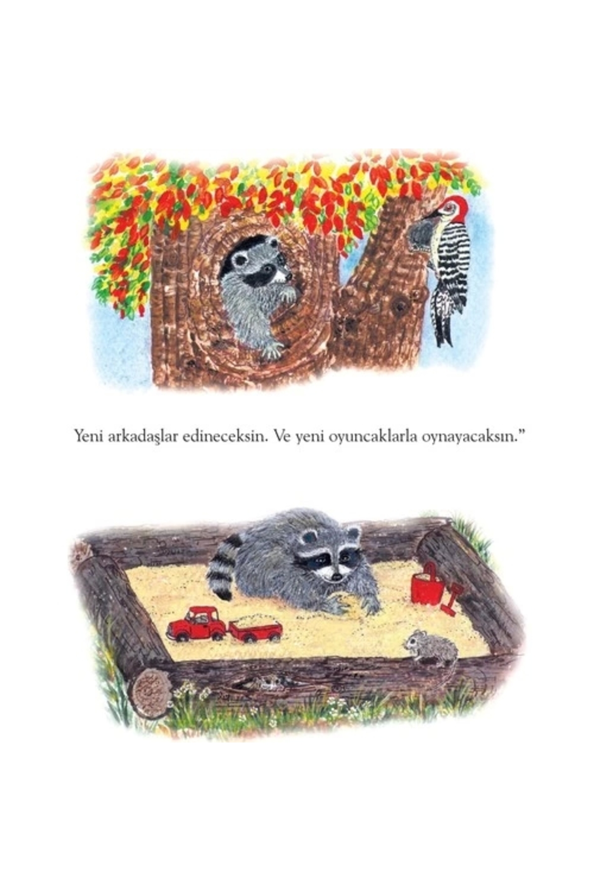 Genel Markalar Avucundaki Öpücük fotoğrafı 6 (önizleme)