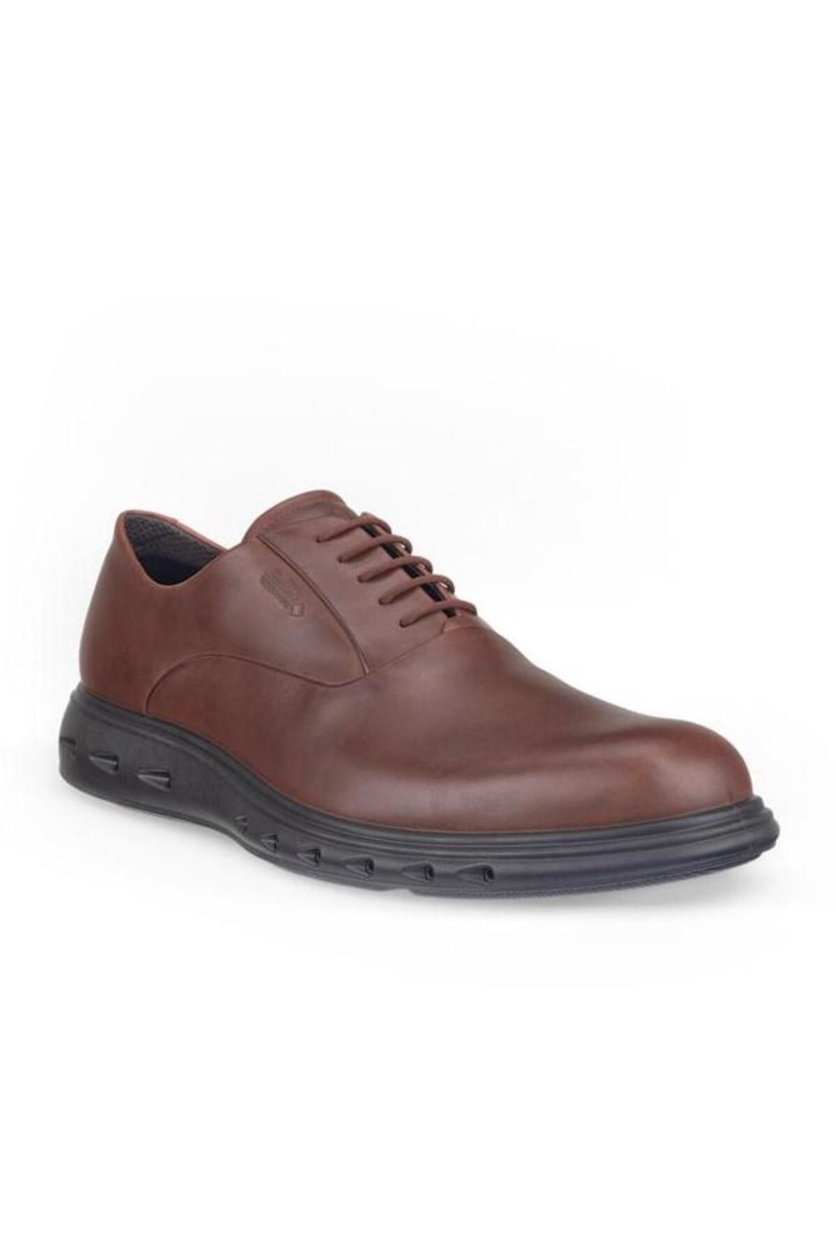 Ecco Hybrid 720 Potting Soil