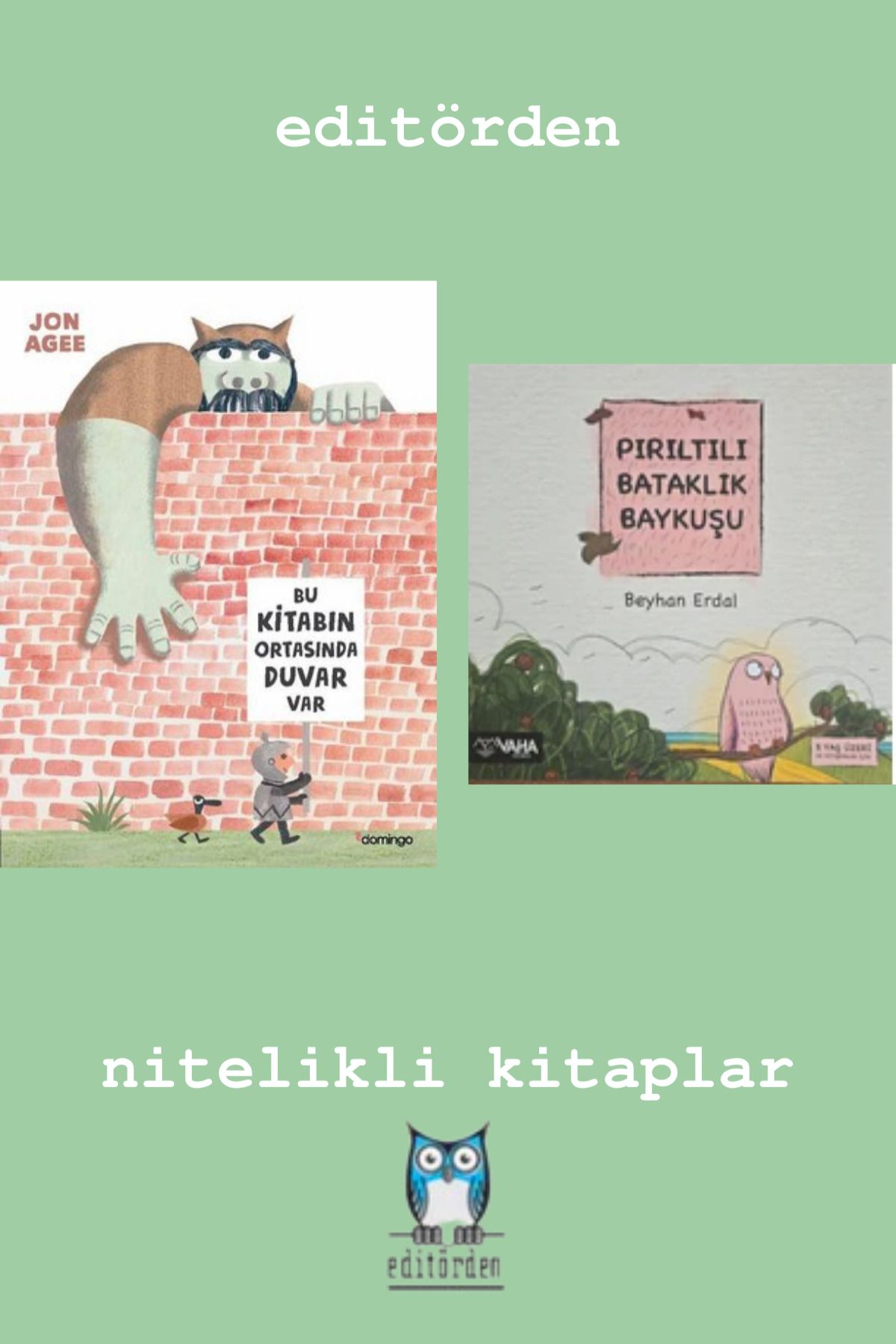 Bilge Kuş Yayınları Bu Kitabın Ortasında Duvar var - Pırıltılı Bataklık Baykuşu