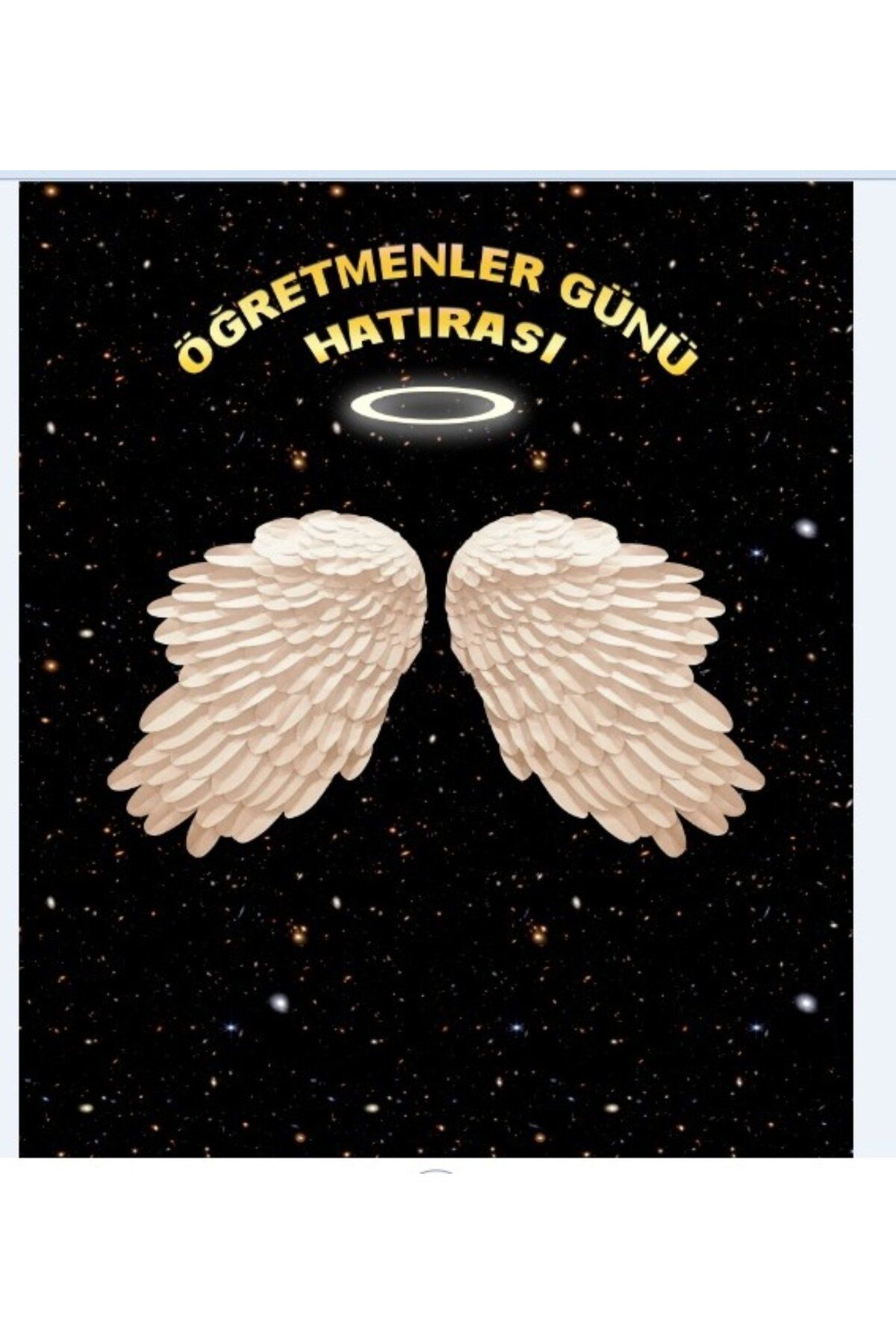 PROMISEBACKDROP2 24 KASIM, ÖĞRETMENLER GÜNÜ HATIRASI, SADE KANAT OKUL ETKİNLİK, TATİL, PANO