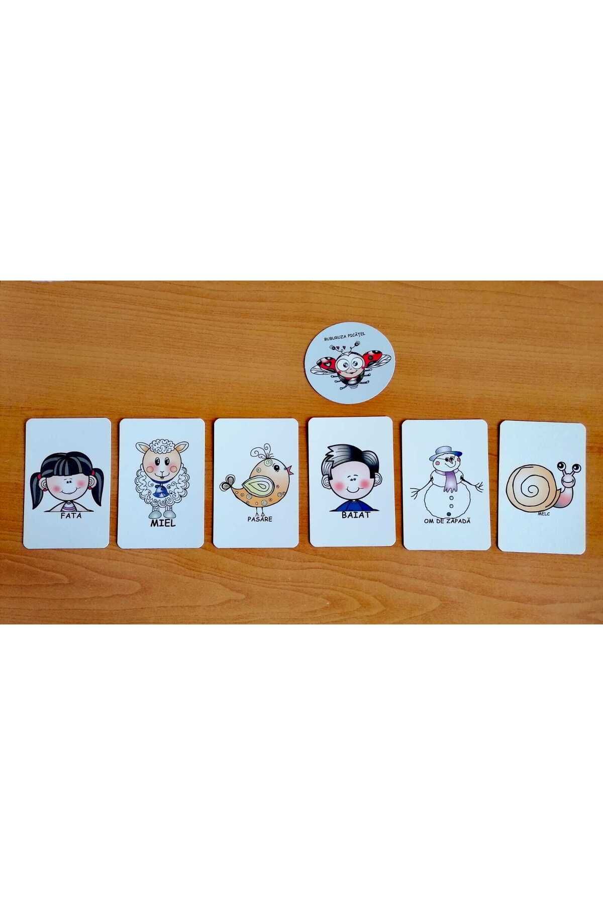 JUCARII VORBARETE-Train your memory with Picatel-The Wise Ladybug! 6
