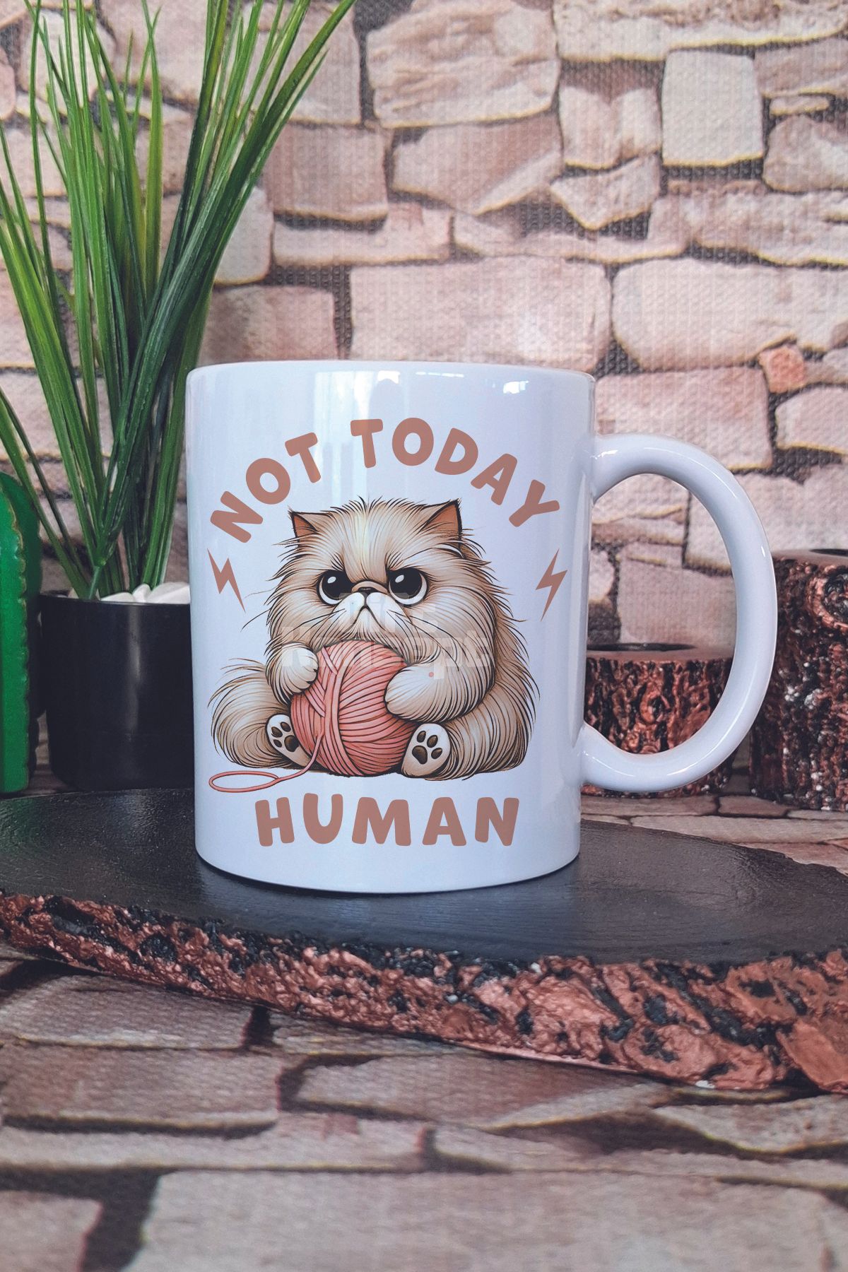 giftkonsept Not Today Human Baskılı Komik Kedi Kedisever Hediyelik Baskılı Çay Kahve Sunum Kupa Bardak