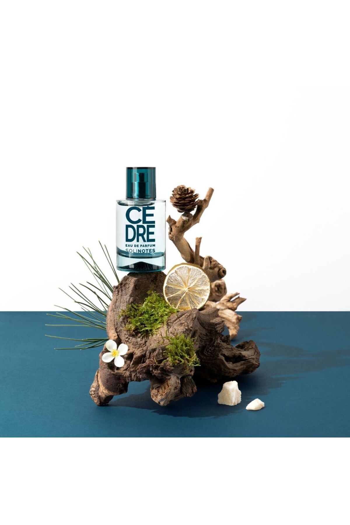 Solinotes-Cedar Eau de Parfum, SoliNotes, 50 ml 5