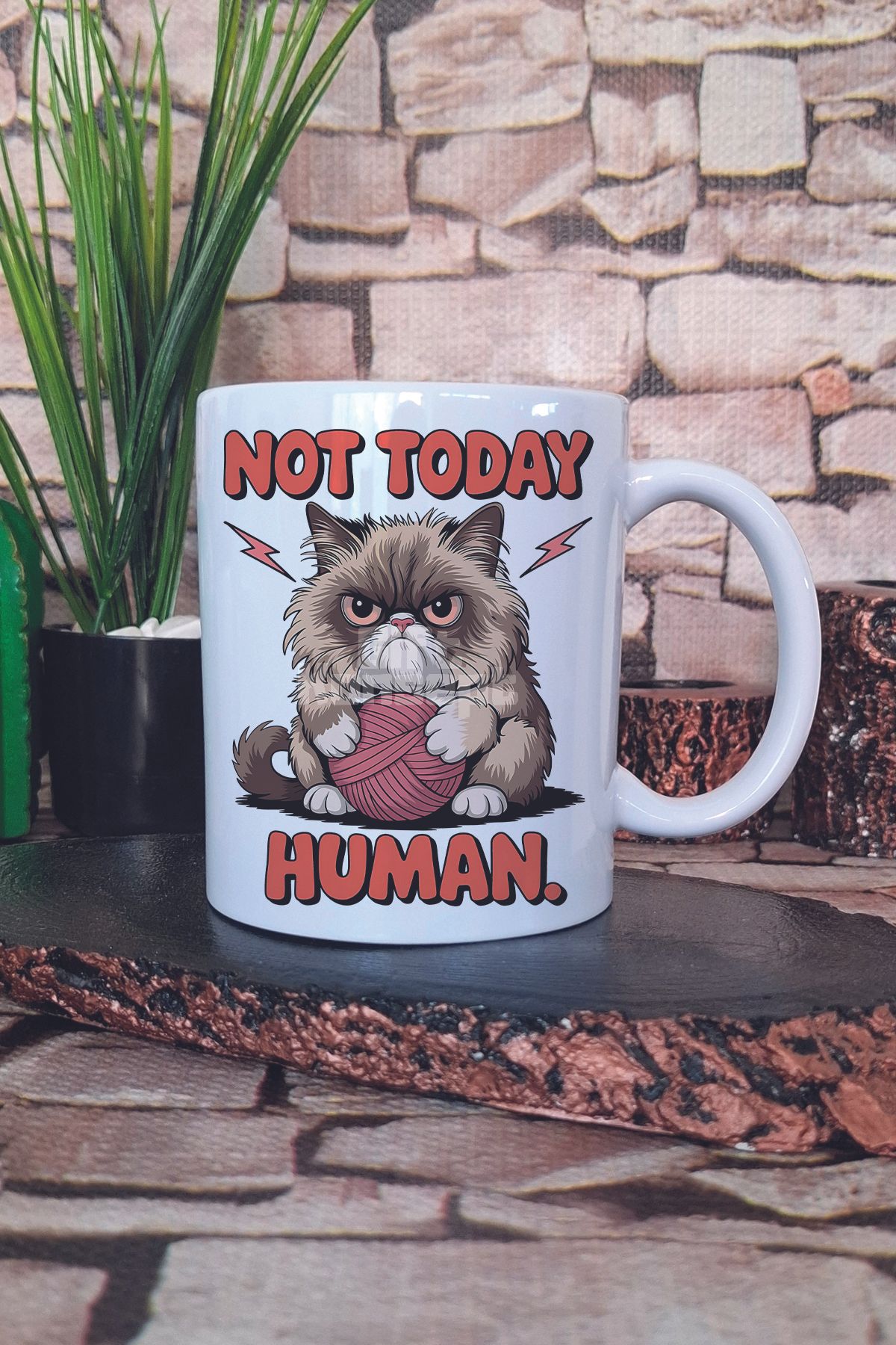 giftkonsept Kedi Komik Esprili Kedisever Kedi Sahibi Eğlenceli Hediyelik Baskılı Çay Kahve Sunum Kupa Bardak