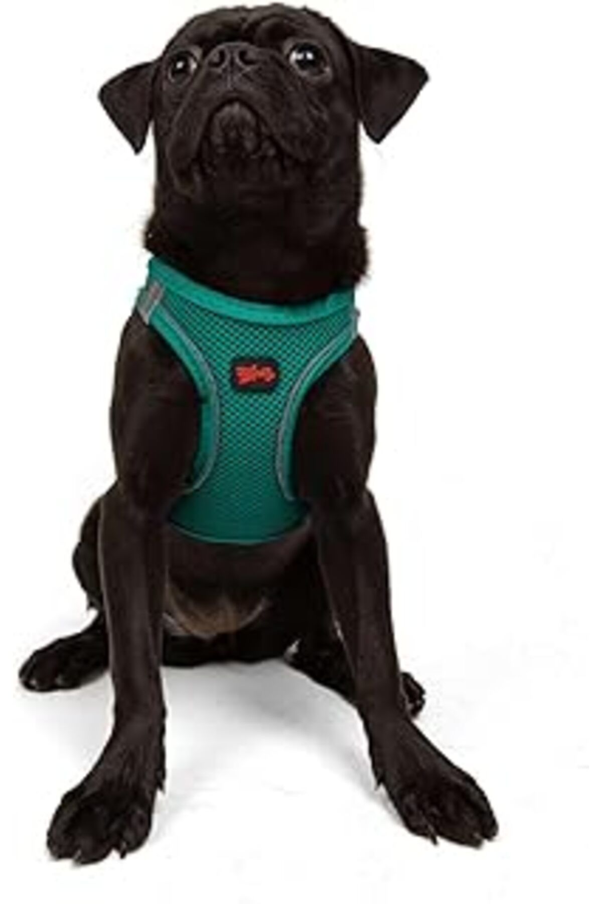 Mu Art Ahşap Tailpetz Air-mesh Küçük Ve Orta Irk Kedi Köpek Göğüs Tasması - Yumuşak, Nefes Alabilir, Dayanıklı (