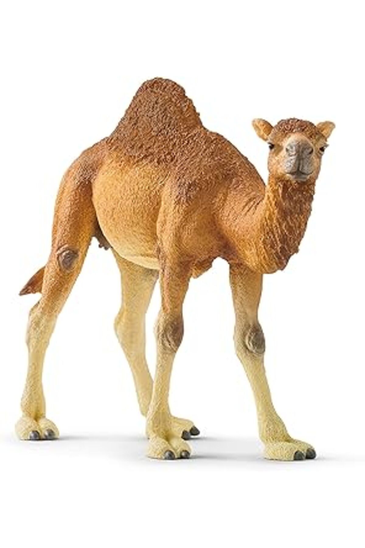 Qedii Schleich 14832 Hörgüçlü Deve Oyuncak Figürü, Çok Renkli