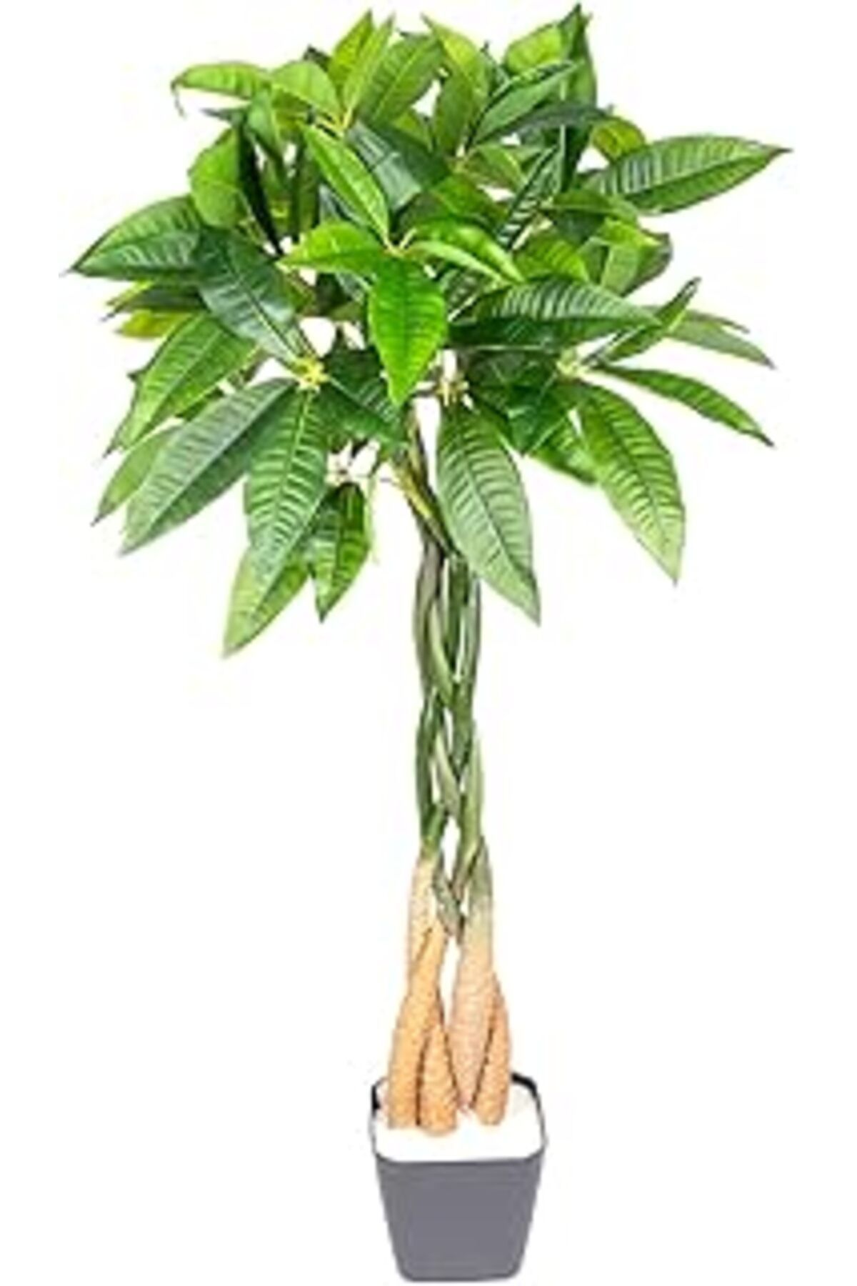 Qedii Herdekora Yapay Fortune Gerçek Dokulu 98 Cm.
