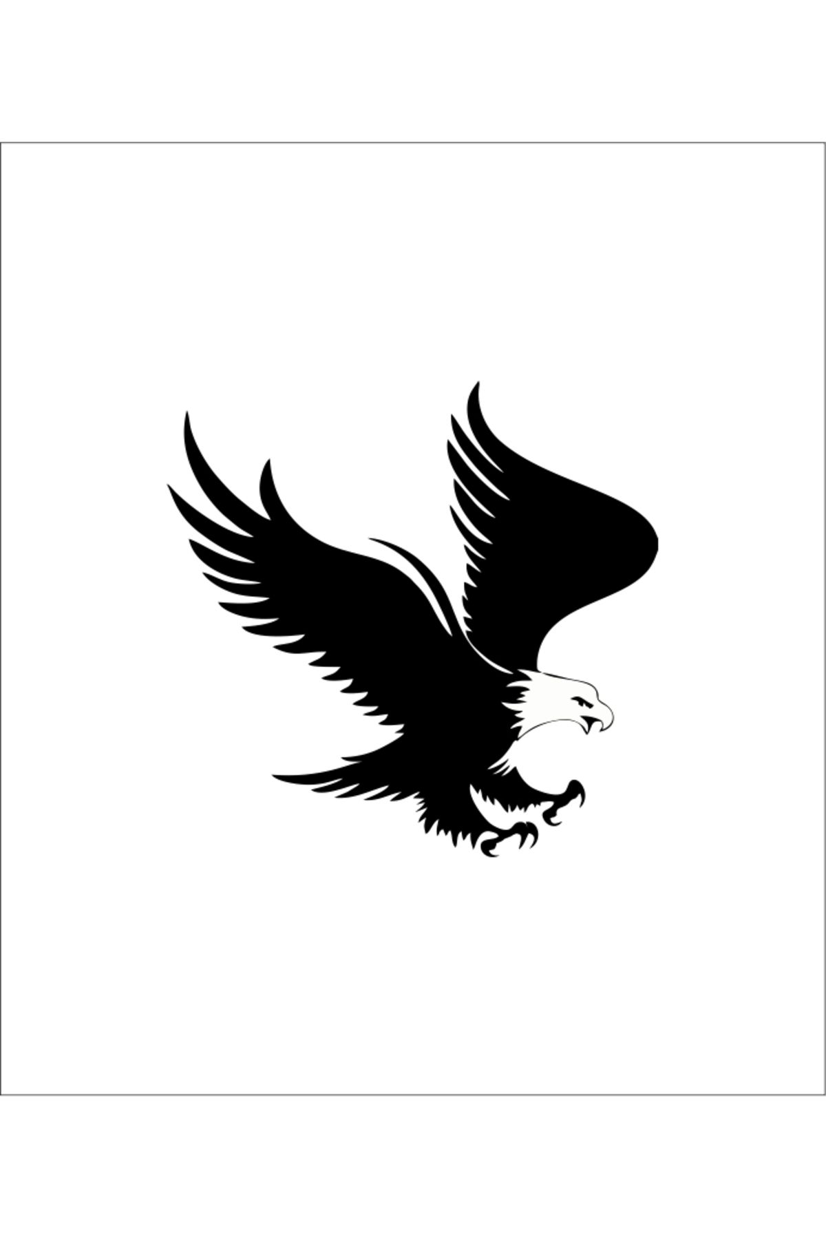 RVT Design Kartal Sticker Yapıştırma