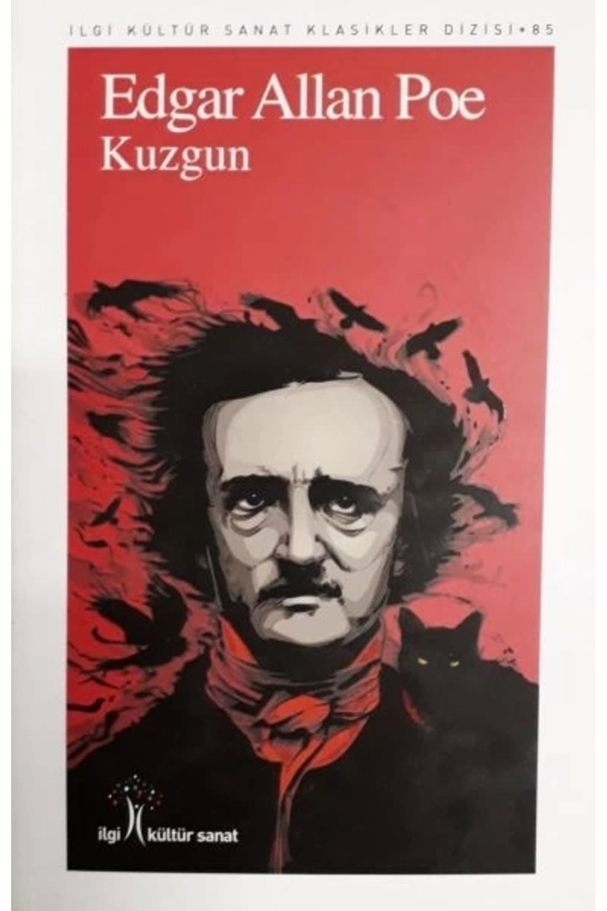 İlgi Kültür Sanat Yayıncılık Kuzgun