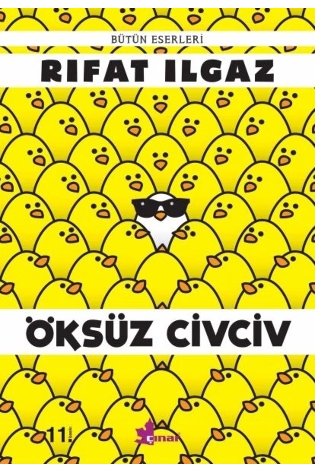 Çınar Yayınları Öksüz Civciv