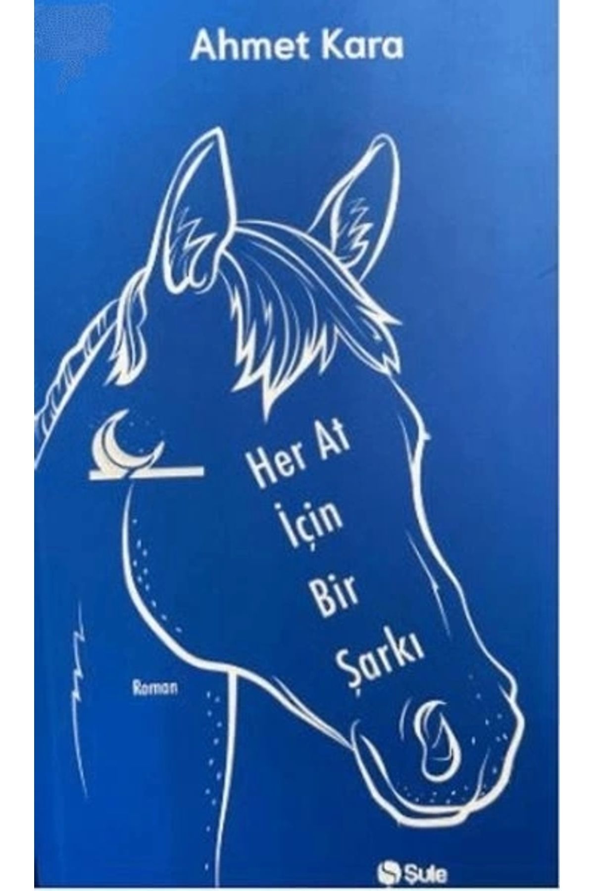 Şule Yayınları Her At İçin Bir Şarkı