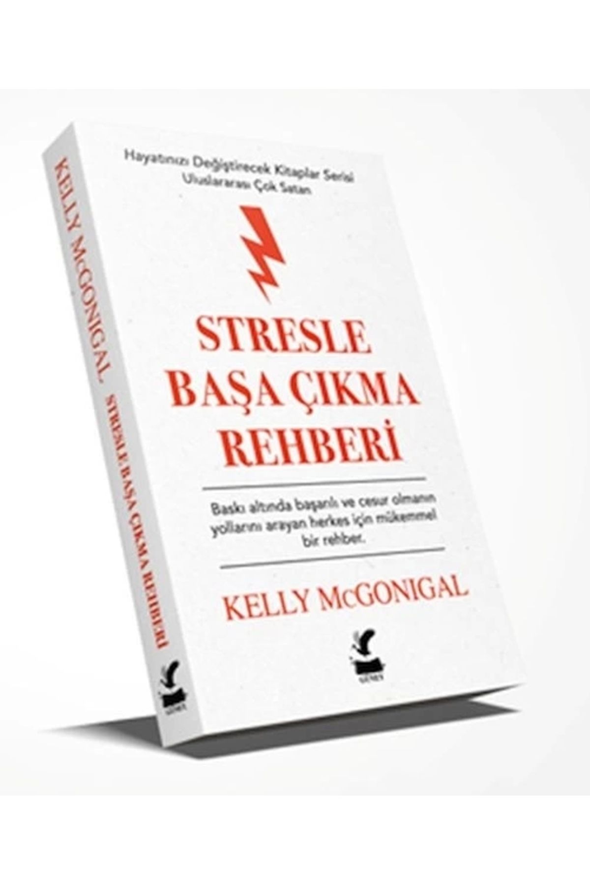Güney Kitap Stresle Başa Çıkma Rehberi