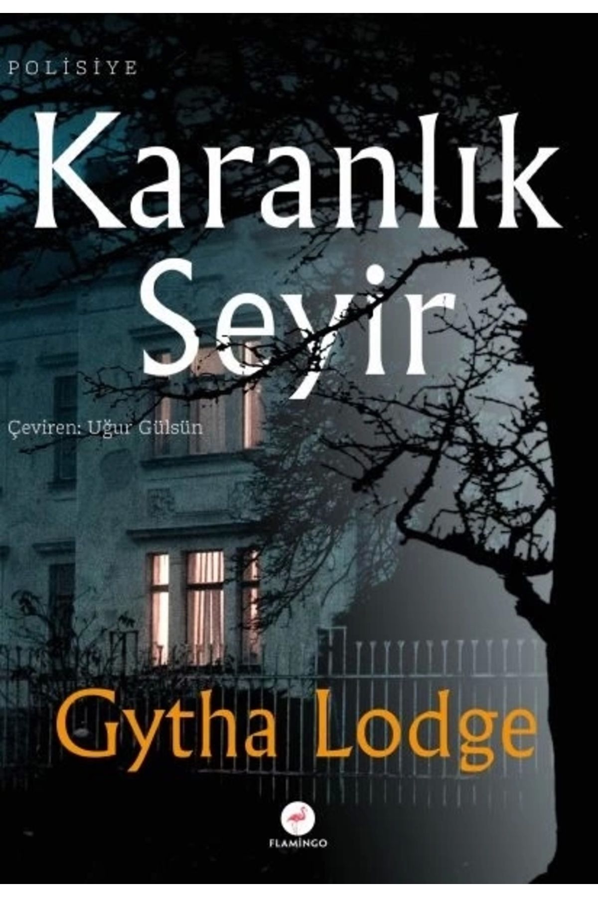 Flamingo Yayınları Karanlık Seyir