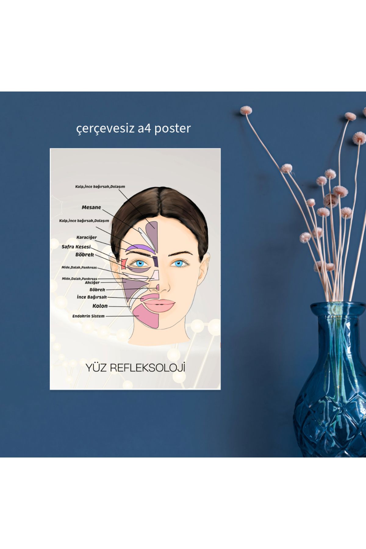 Fatofotofan Akupuntur Yüz Refleksoloji Haritası A4 Çerçevesiz Poster