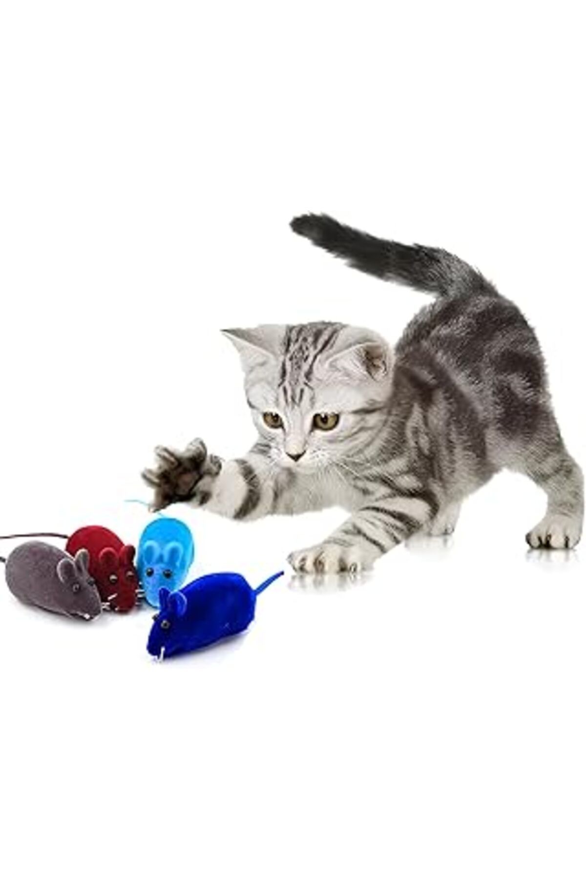 ASİTAN Aee® 4'lü Set Sesli Fare Kedi Oyuncağı Renkli Ve Eğlenceli Kedi Av Oyuncakları