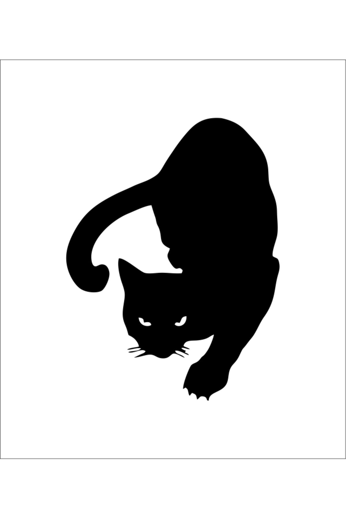 RVT Design Kedi Sticker Yapıştırma