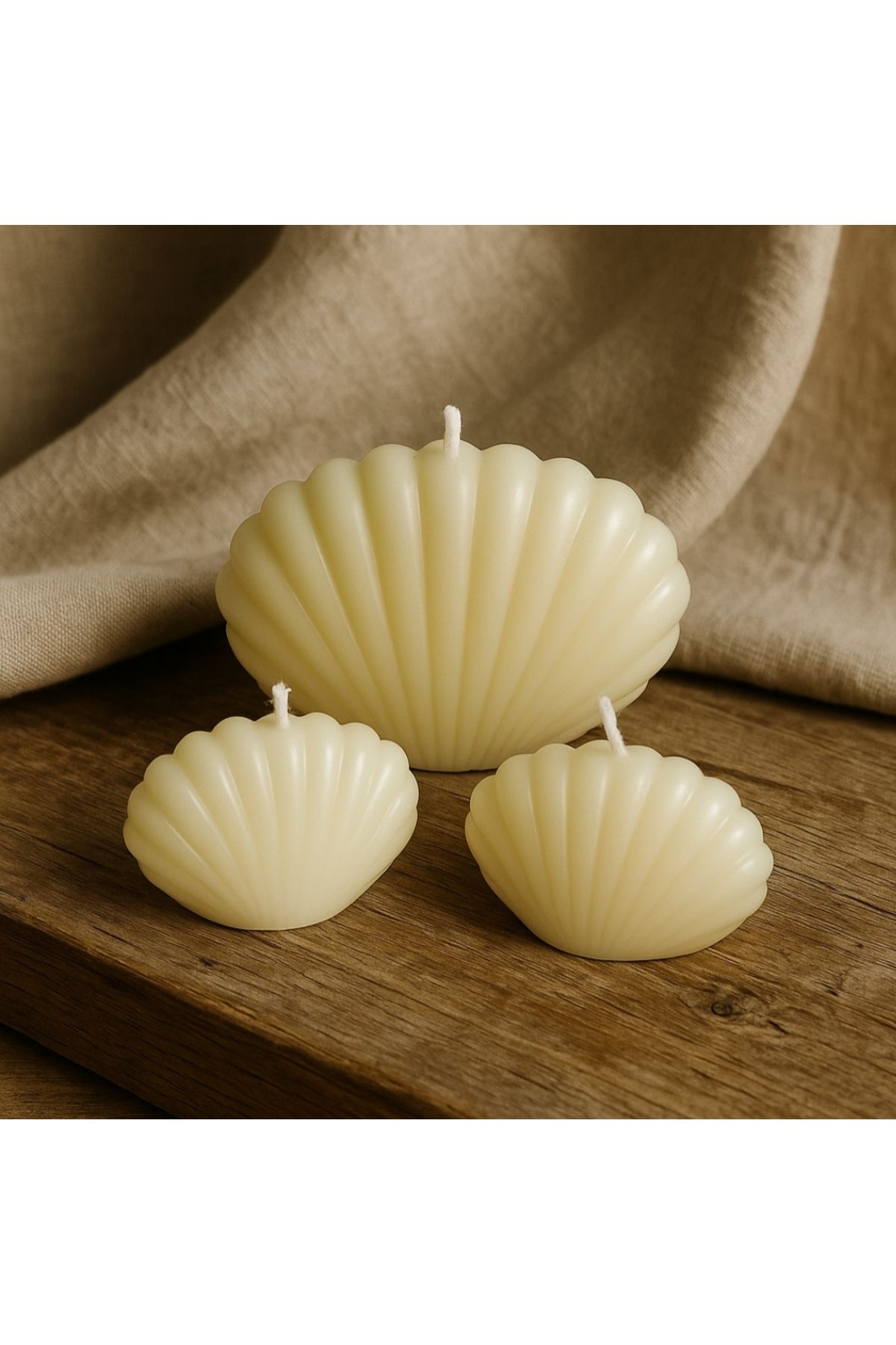 candlesmoon Dekoratif 3'lü İstiridye Mum