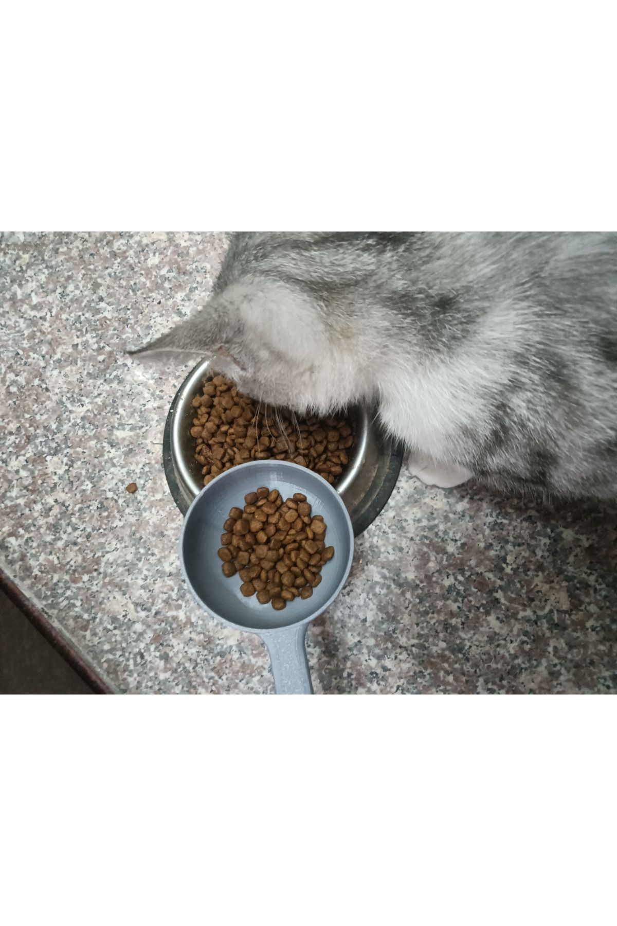 talaşoğlu Kedi ve köpek evcil hayvan maması kaşığı kürek pirinç kaşık kaşık