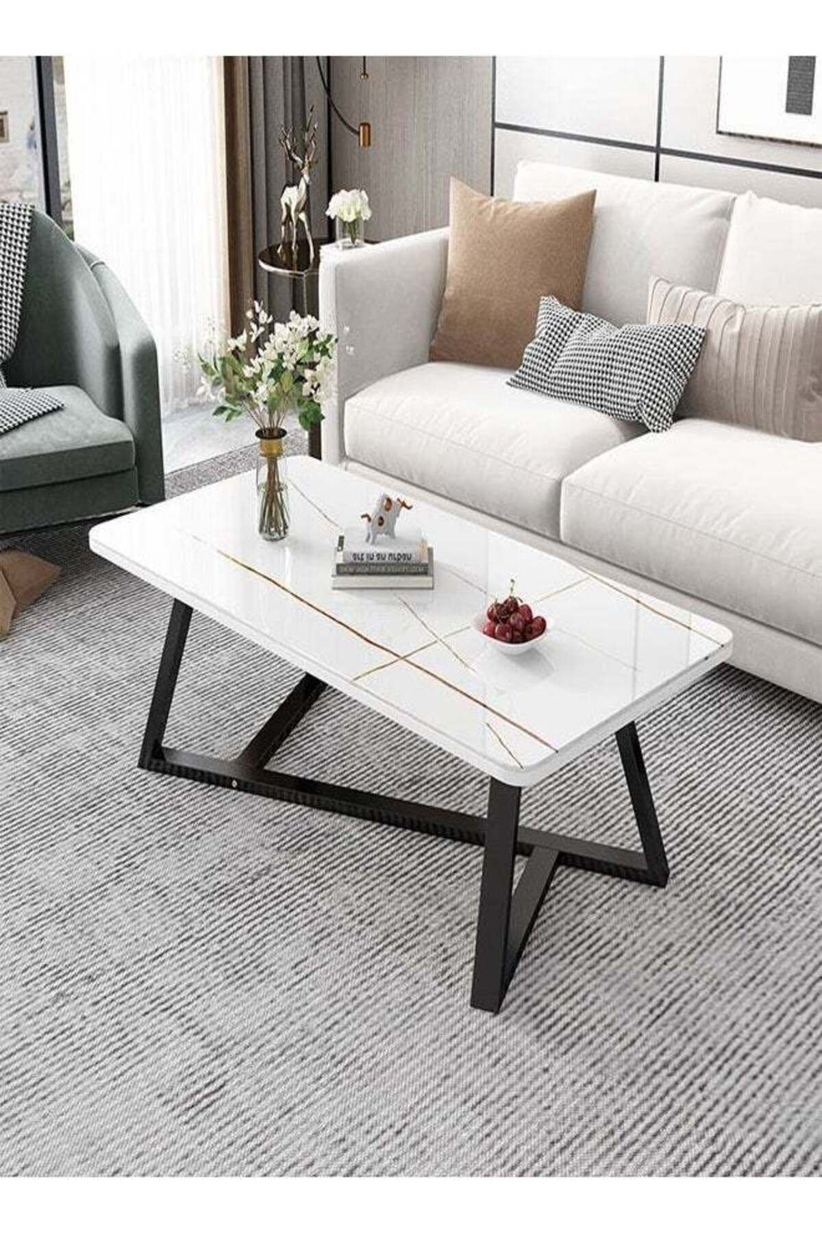 Raffine-Modern Multifunction Nordic Design Rectangular Steel Frame Sofa Center Table 1