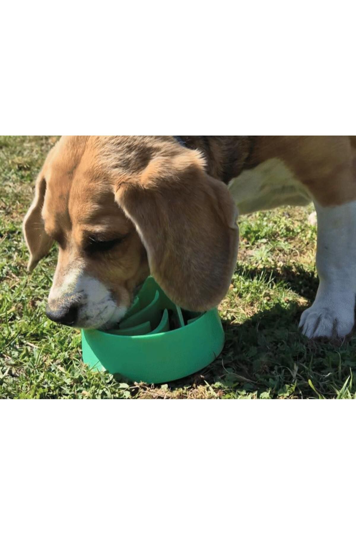 talaşoğlu Yavaş besleyici Pet Bowl