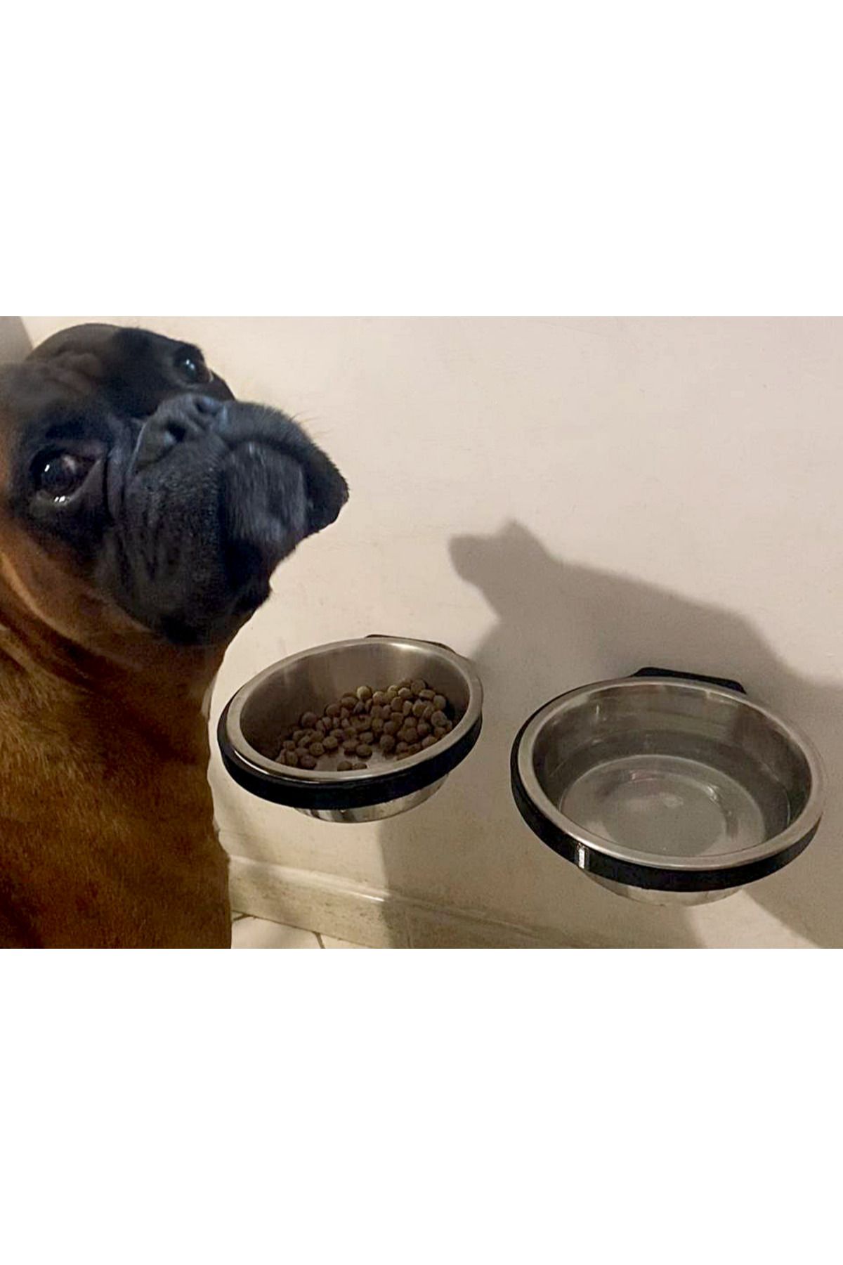 talaşoğlu Köpek kasesi tutucu (duvara monte)