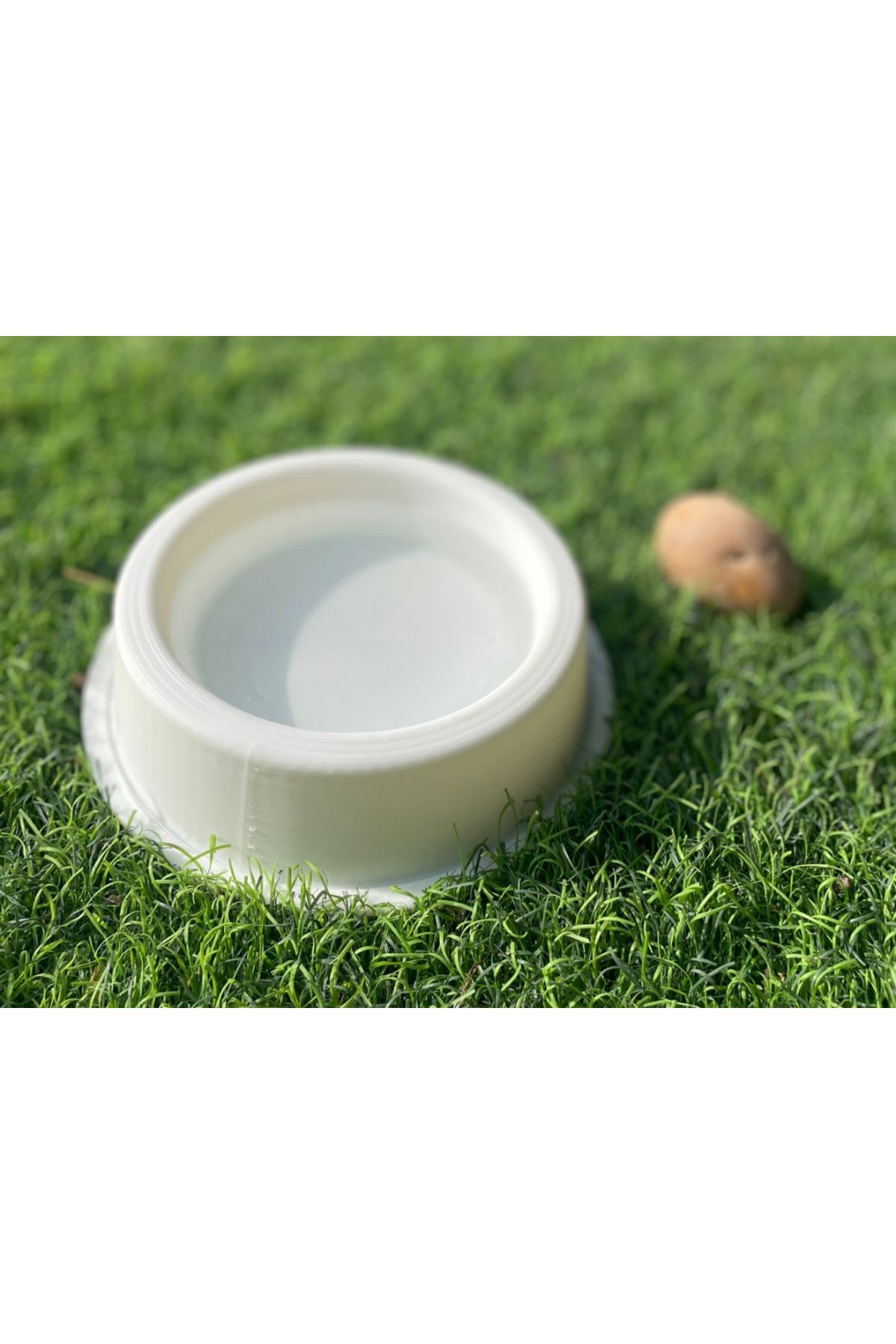 talaşoğlu Pet Splash N 'Snack Bowl
