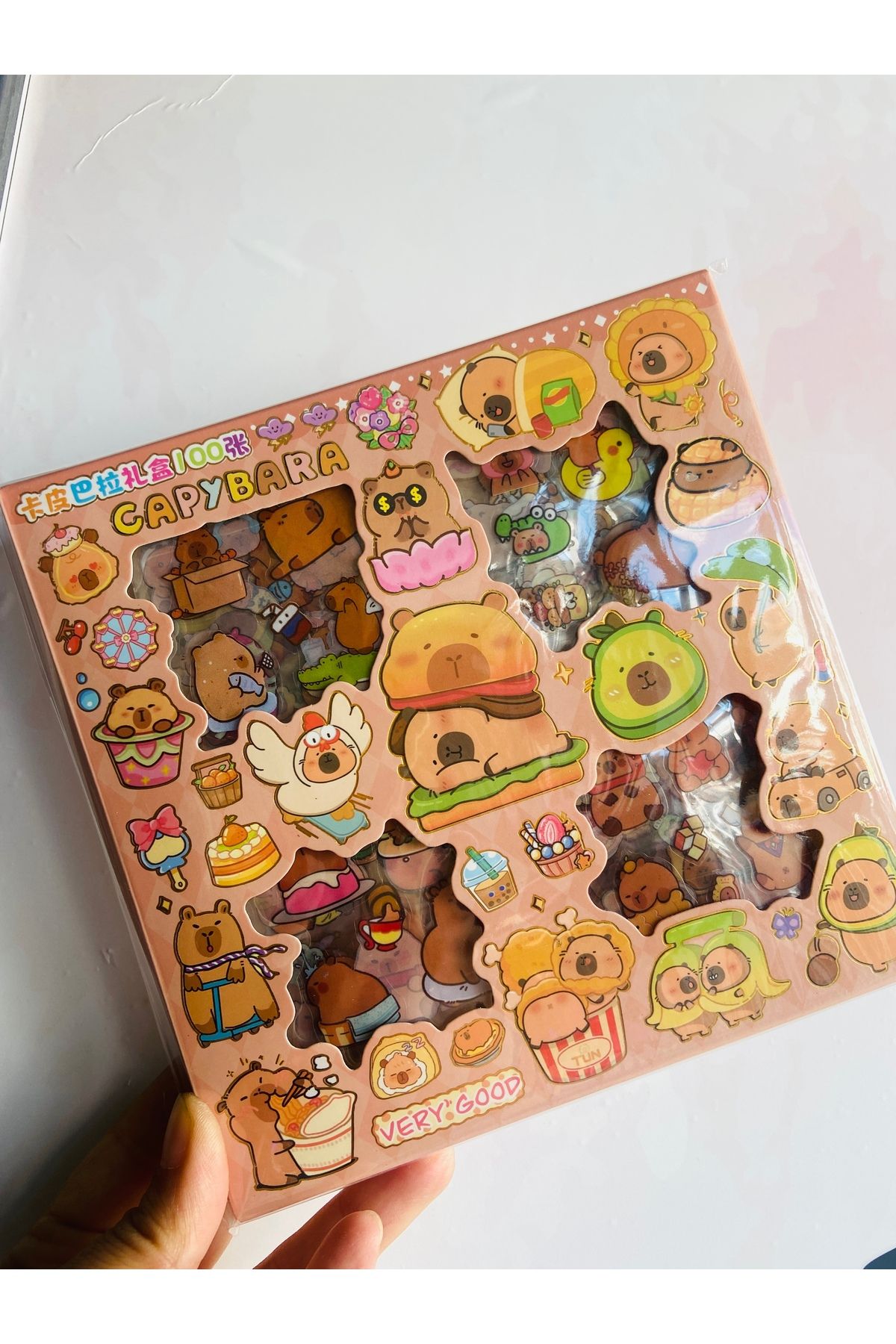 synshop Capybara Kapibara 570 Adet 100 Sayfa Etiket Seti Ajanda, Günlük, Scrapbook Çıkartma Sticker