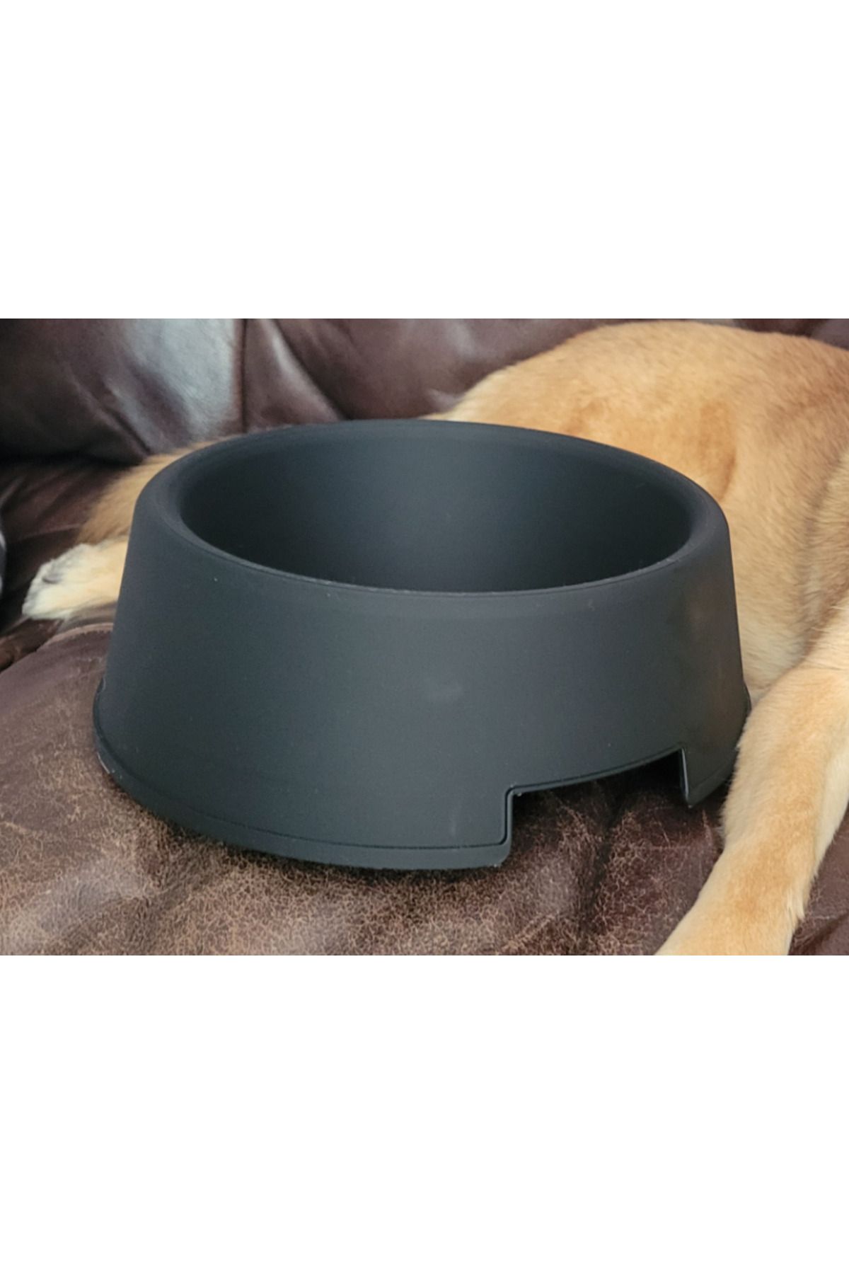 talaşoğlu XL köpek maması / su kasesi