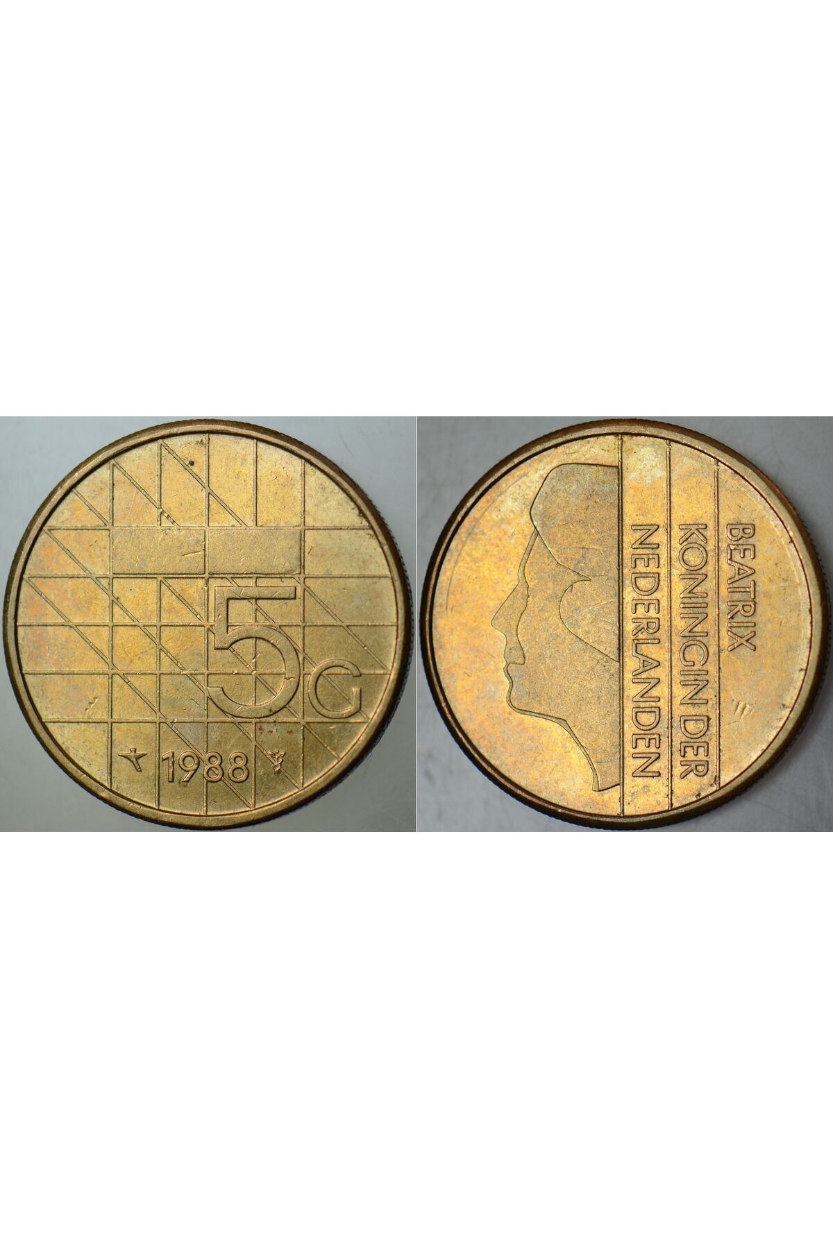 Banknoting HOLLANDA 5 GULDEN 1988. KRALİÇE BEATRIX. ÇİLALTI