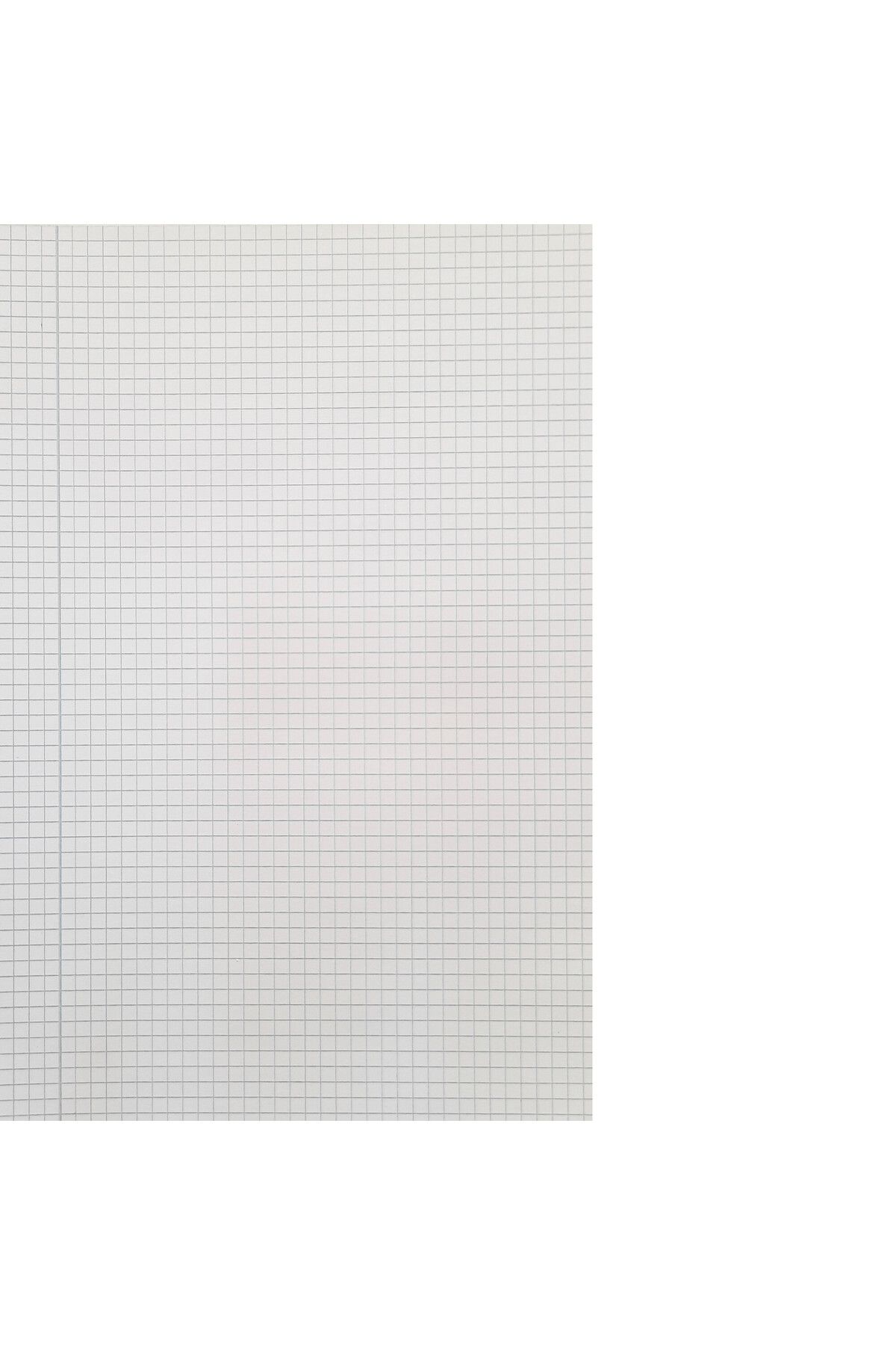 FLR-Student notebook MATHEMATICS, A4, 100 sheets, 6 notebooks/set + 10 FLR note cards 2