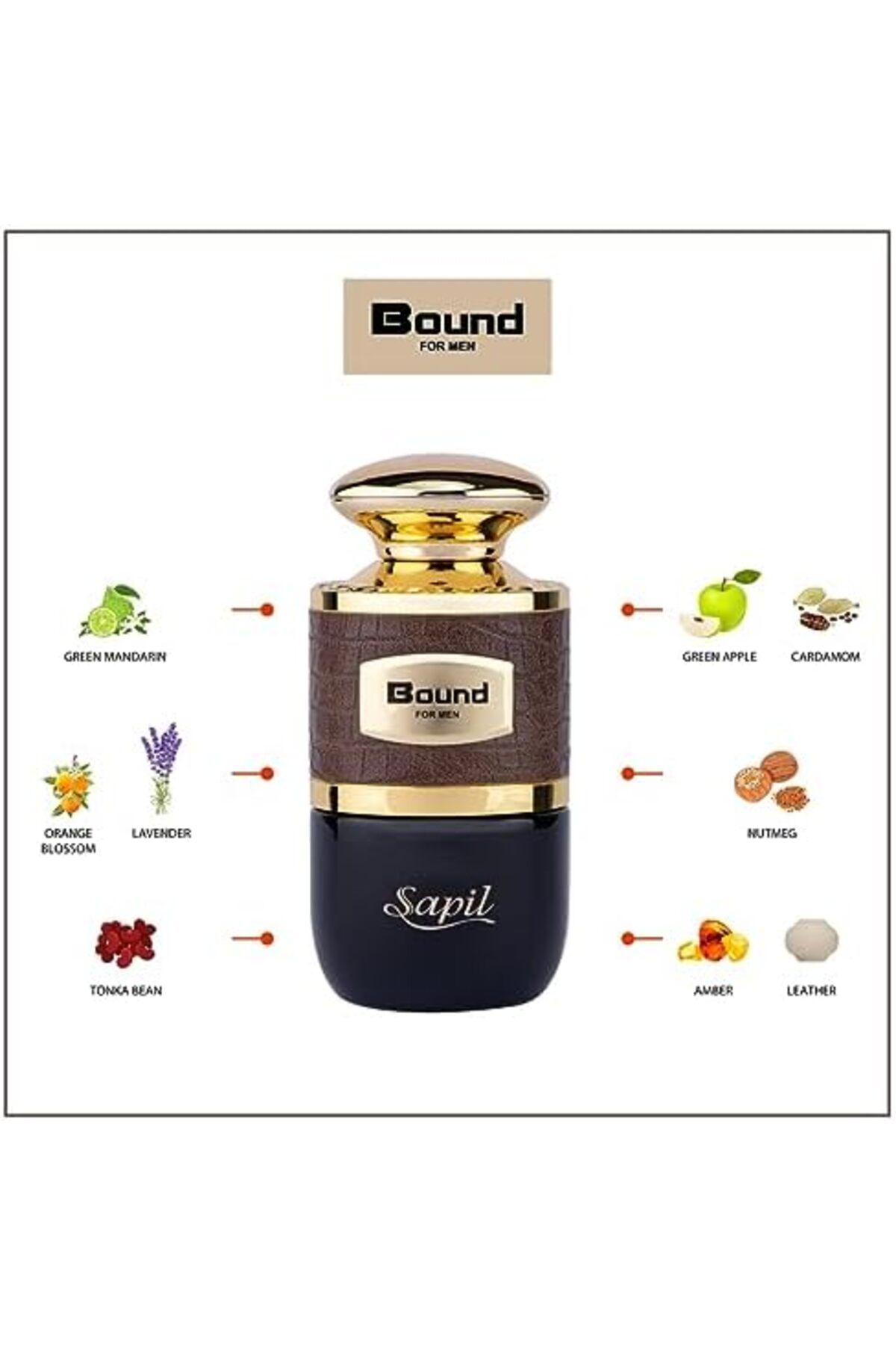 sapil-سابيل باوند للرجال 3