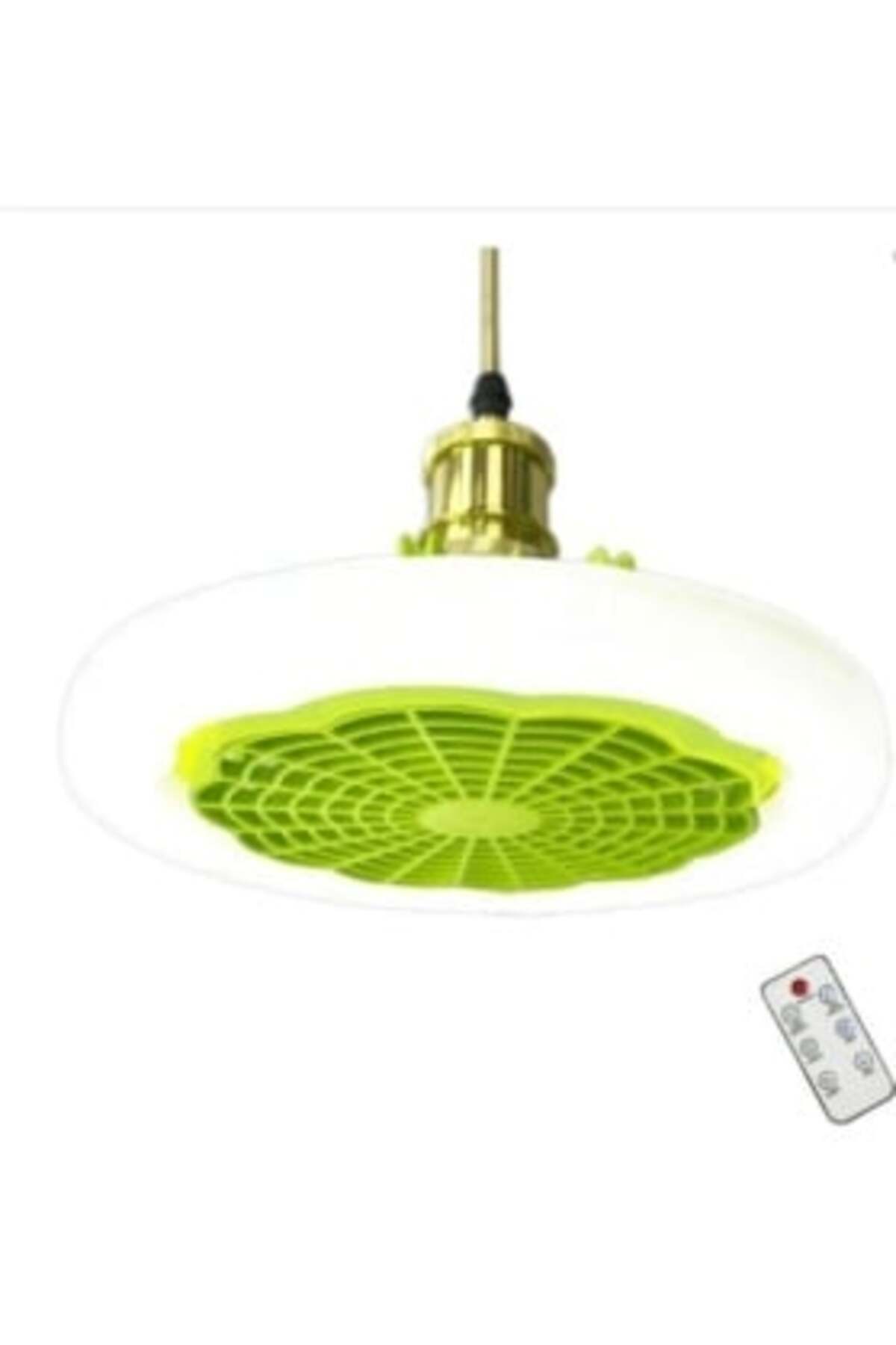 Blusmart-Ceiling Fan with LED Light and Remote Control 2