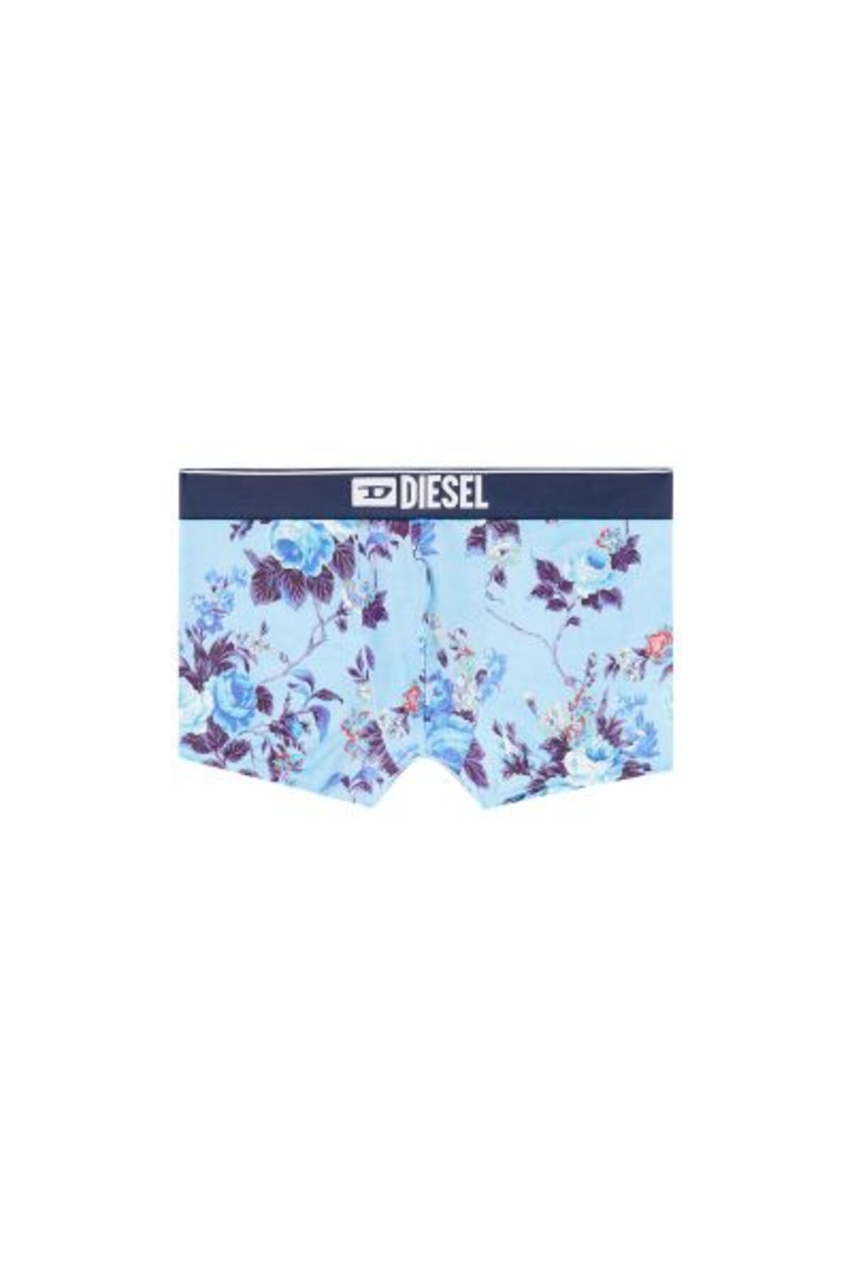 Diesel-BOXER 4