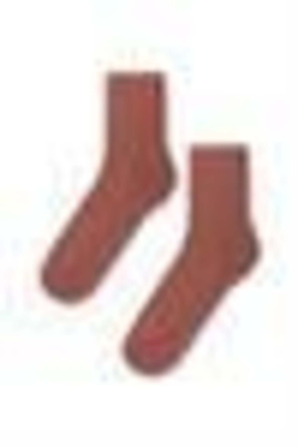 BONY SOCKS Kadın Family Basic Soket Çorap Kahverengi