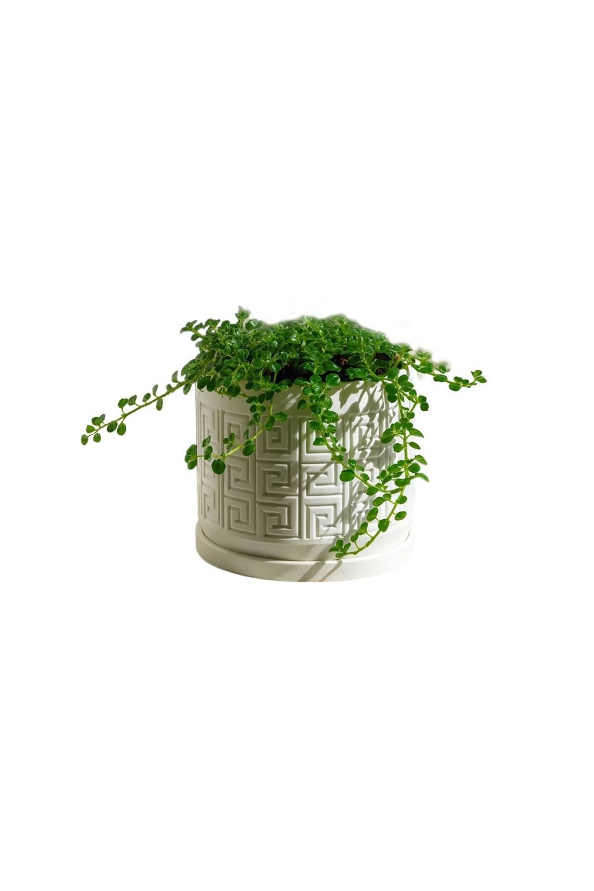 Fibrika Store Aztek Desenli Modern Saksı