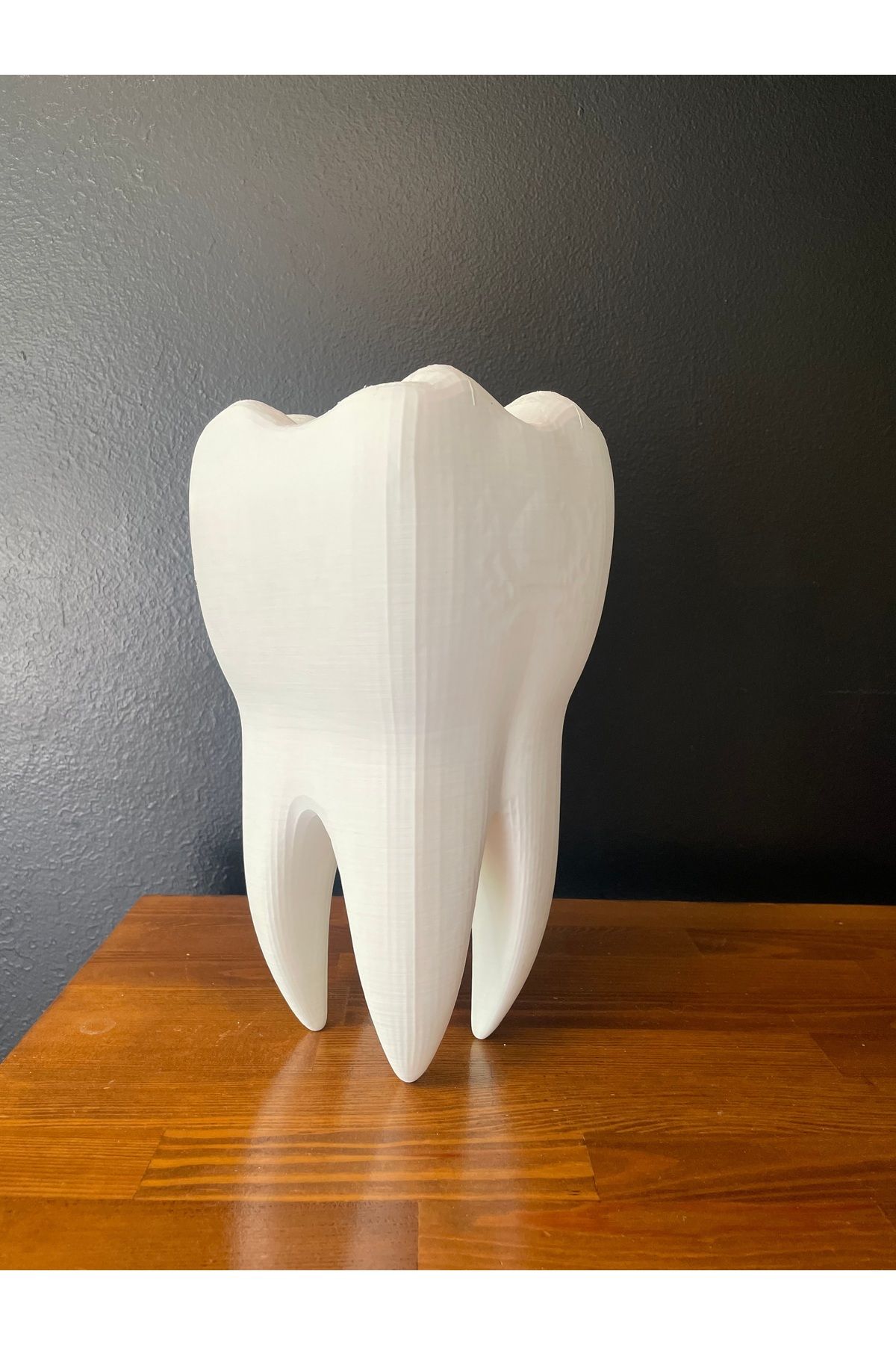 3Cup Design Diş maketi- Diş figürü- Diş klinikleri dekor