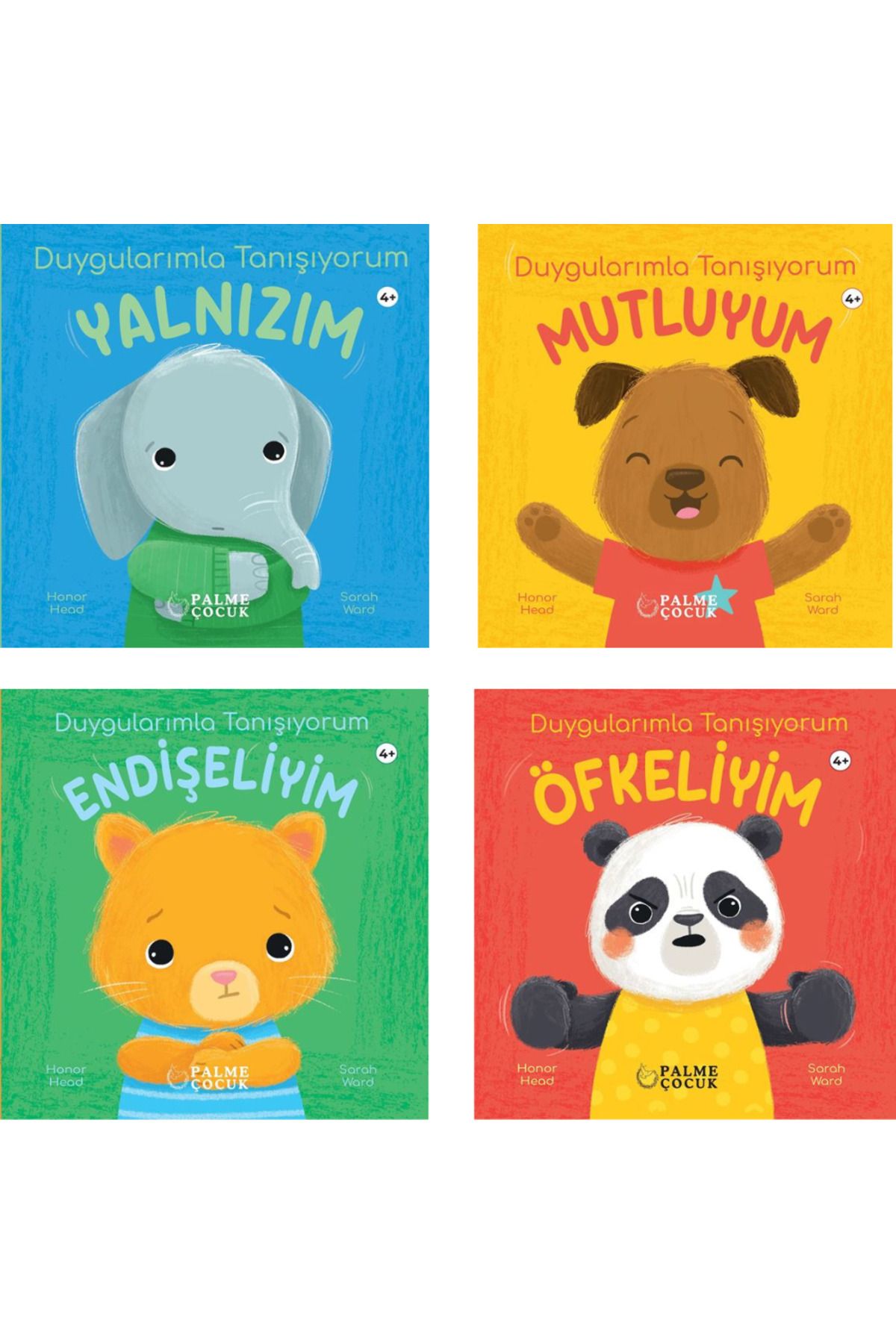 Palme Yayınevi Duygularımla Tanışıyorum 4 Kitap Set