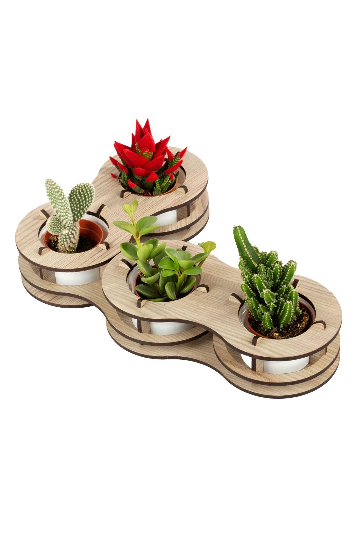 Maviay Deco Design Dörtlü Gezegen Saksı & İç Mekan Saksı, Çiçek Saksısı, Benzersiz Bitki Saksısı, Saksı Dekorasyonu