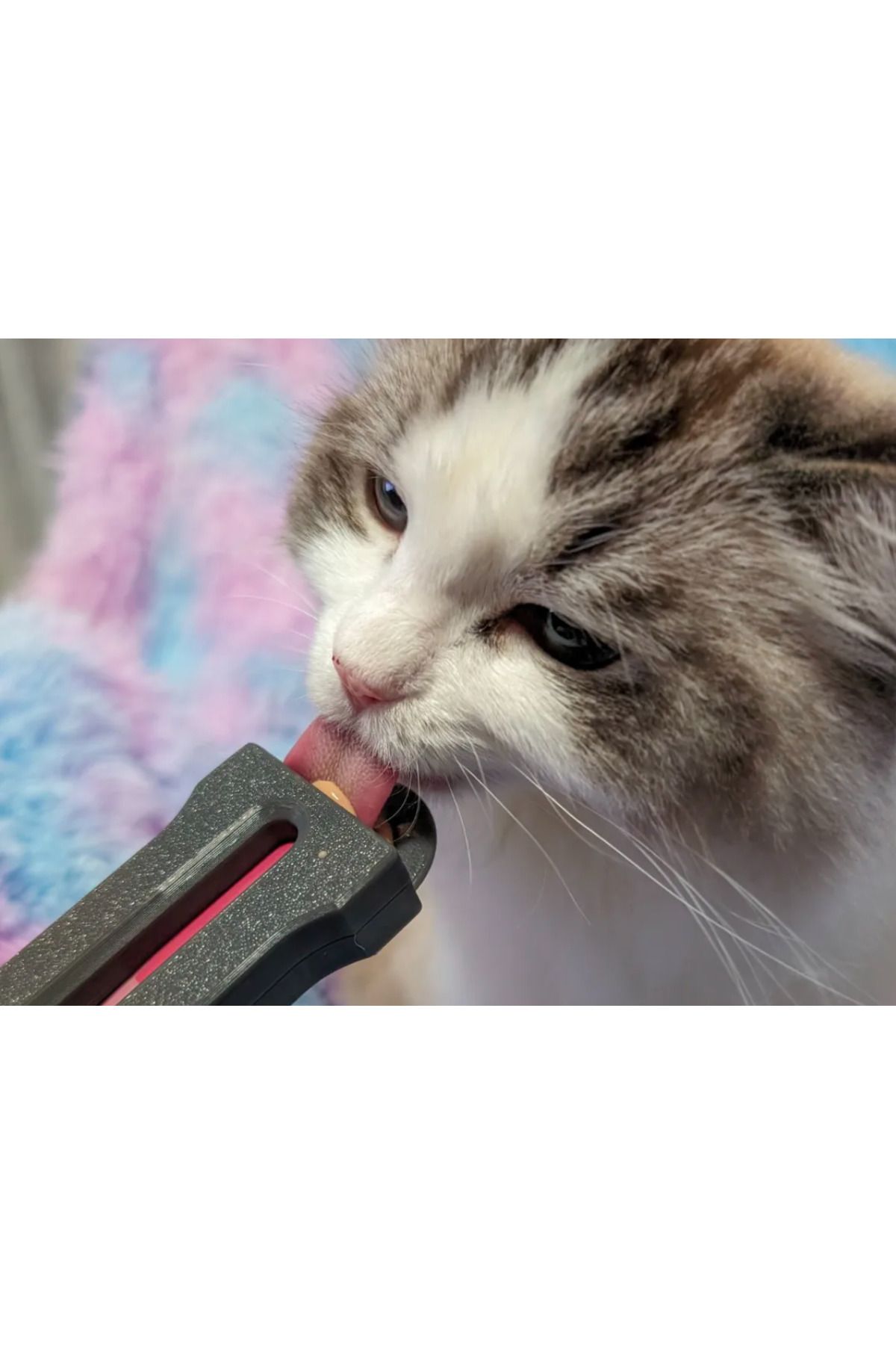 MAHLA Kedi - Köpek Krema Ödül Maması Yedirme Kaşığı - Kedi Ödül Macunu Sıkma Aparatı