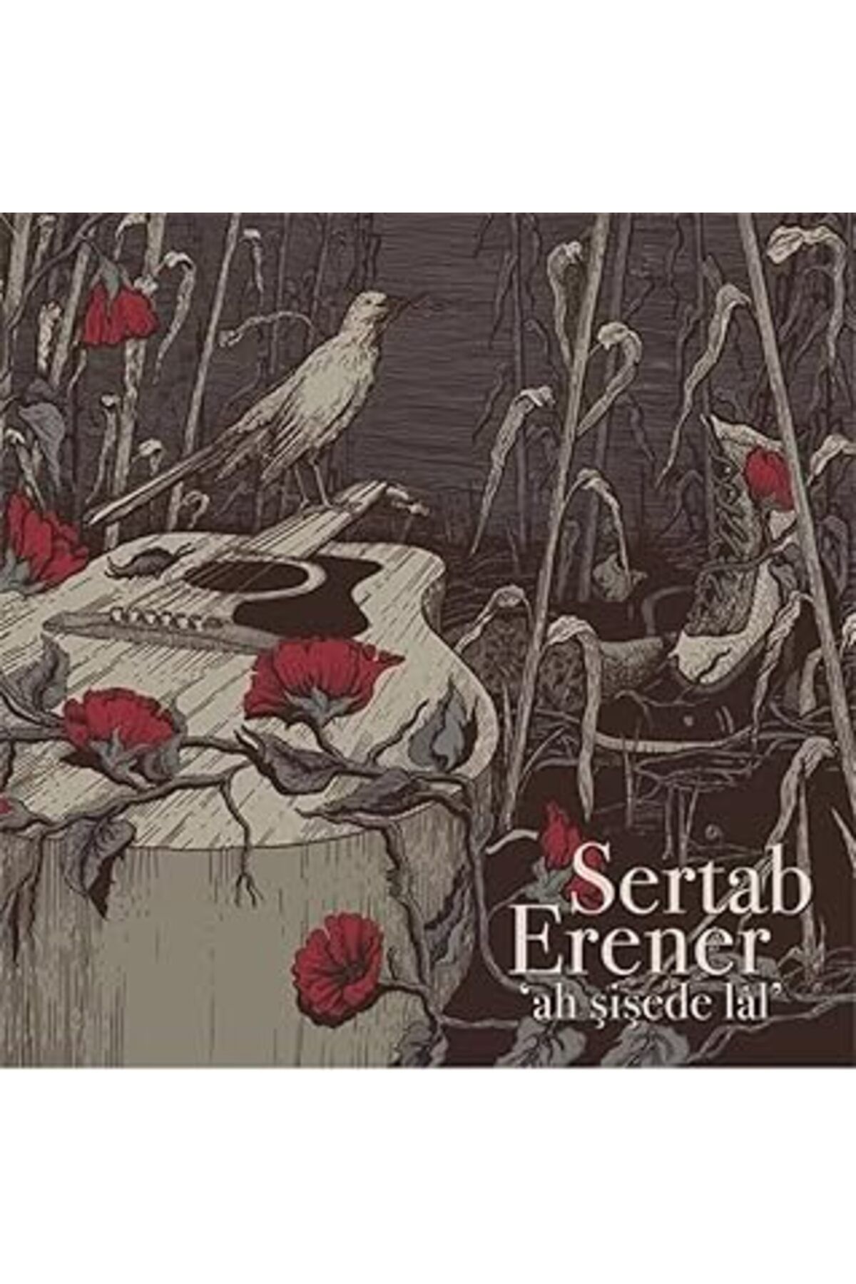 NETWORK ART Gereksiz Şeyler Sertab Erener Ah Şişede Lal Plak