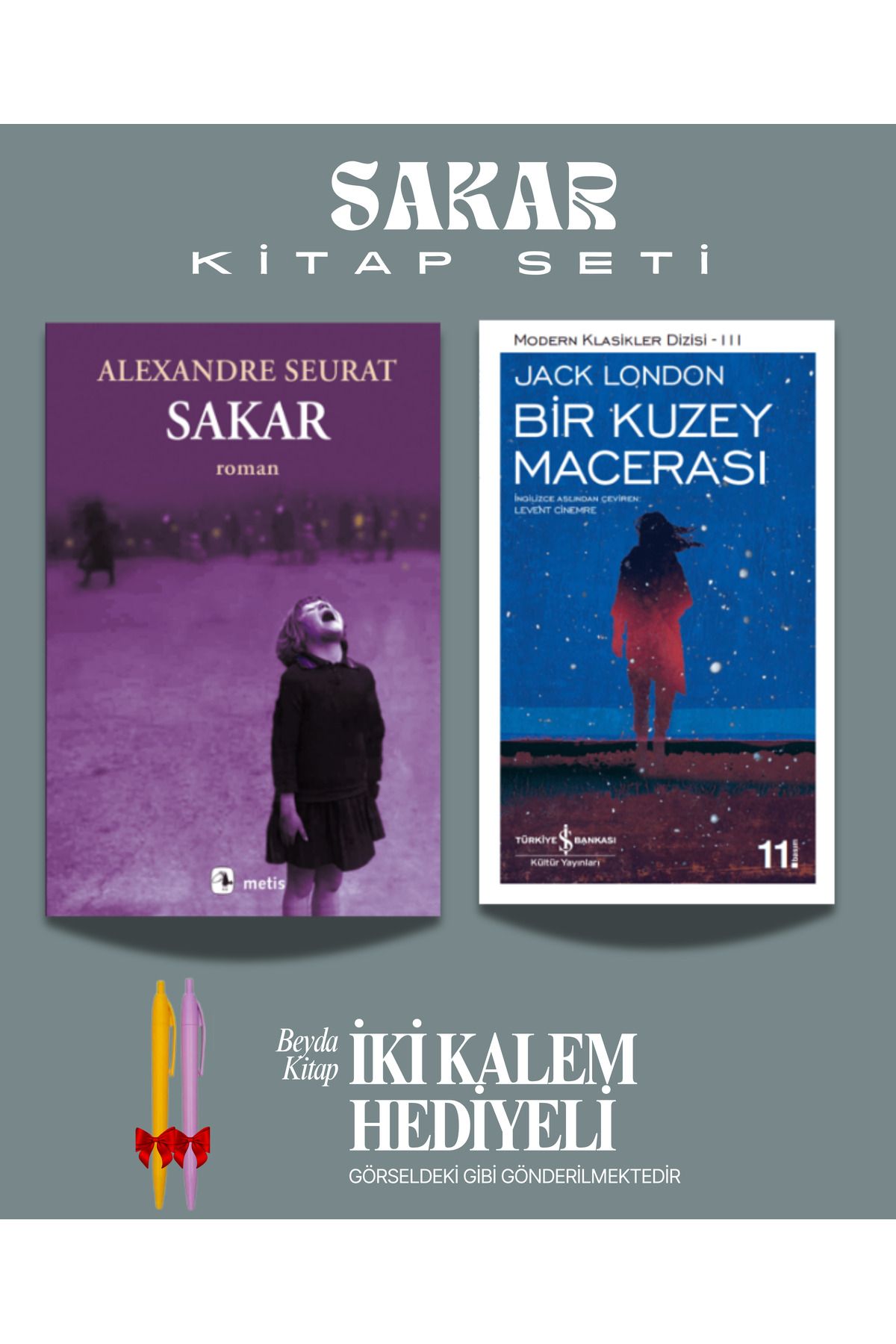 Metis Yayınları Sakar - Bir Kuzey Macerası - Alexandre Seurat - Kitap Seti - İki Kalem Hediyeli