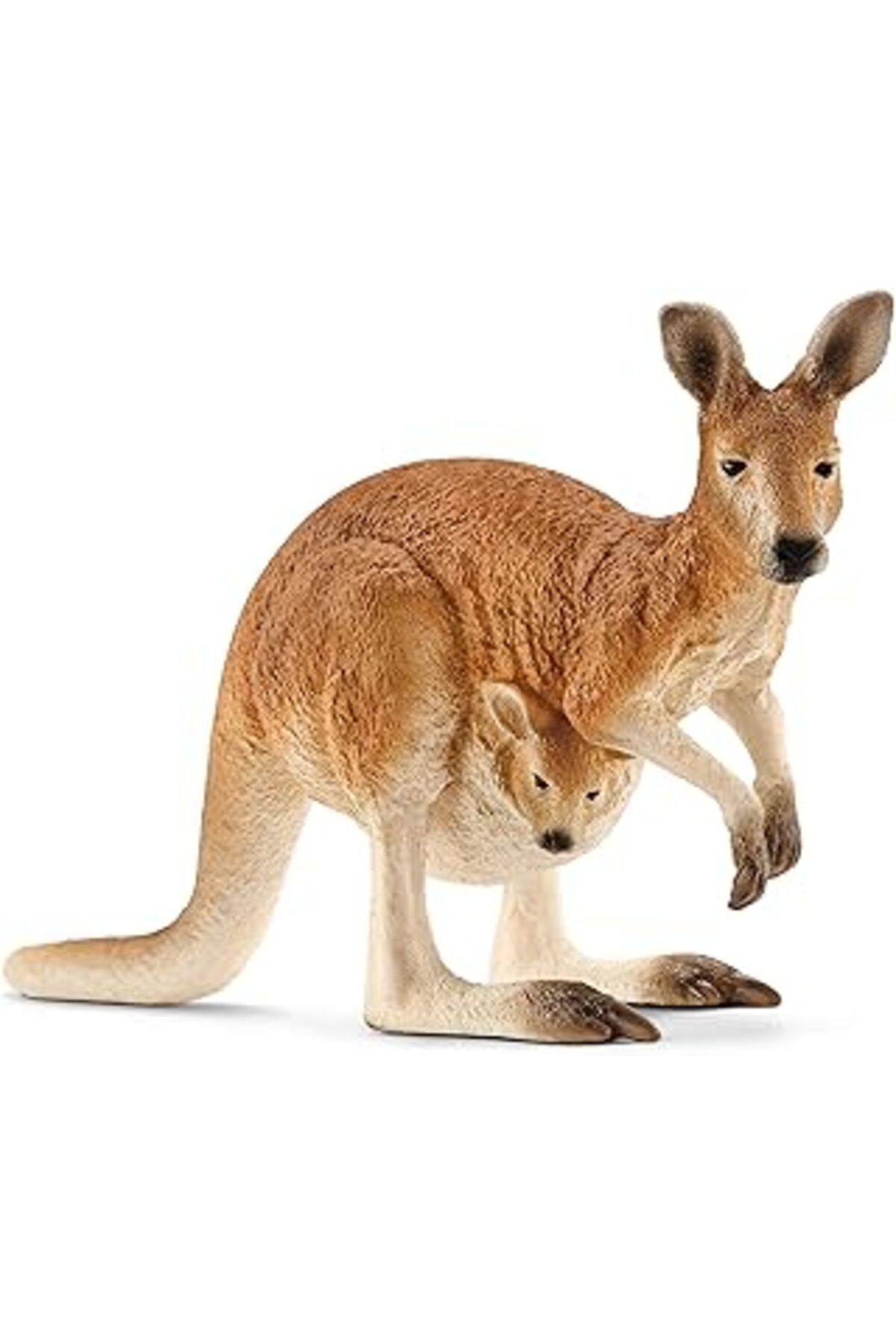 Mu Art Ahşap Schleich 14756 – Okuyan Kanguru, Çok Renkli