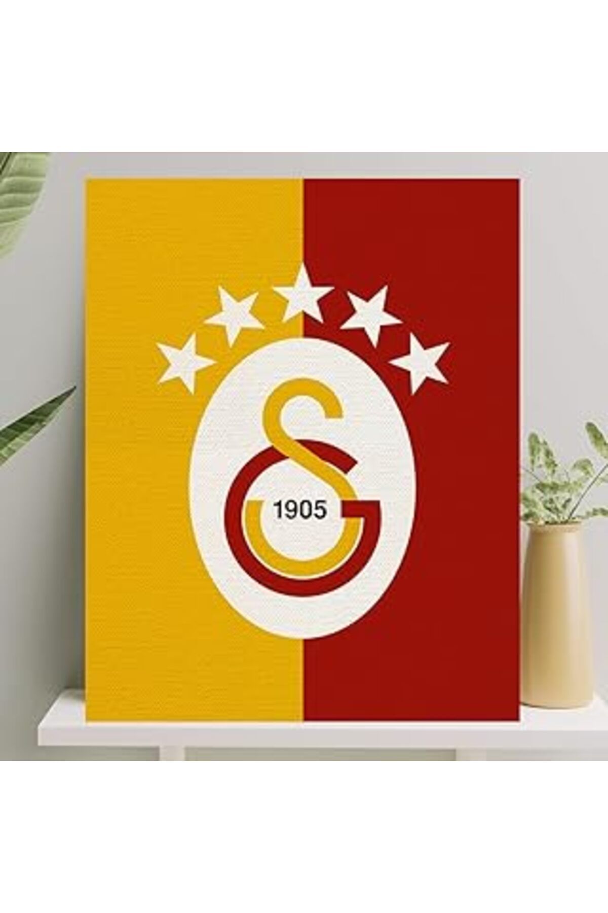 Qedii Sayılarla Boyama Tuval Seti Fırça Boya Dahil (ÇITALI) 40x50 Cm - Galatasaray Logosu