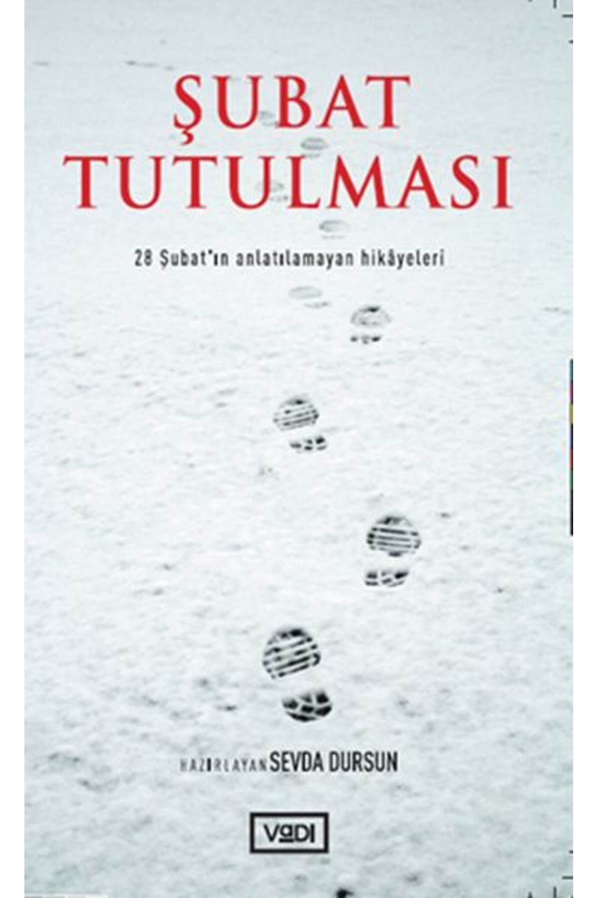 Vadi Yayınları Şubat Tutulması